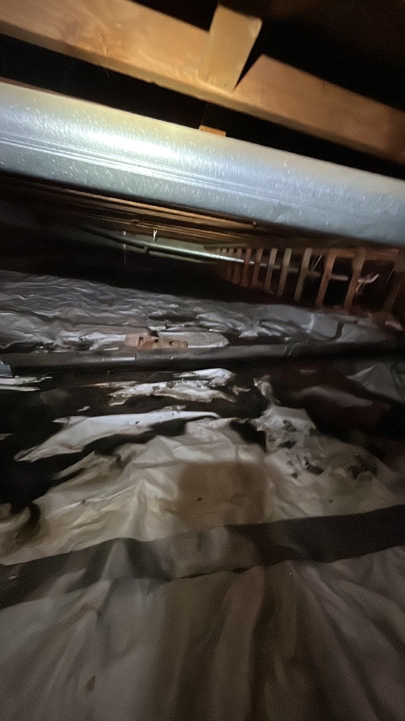 Sewage Backup by Accountable Home Services