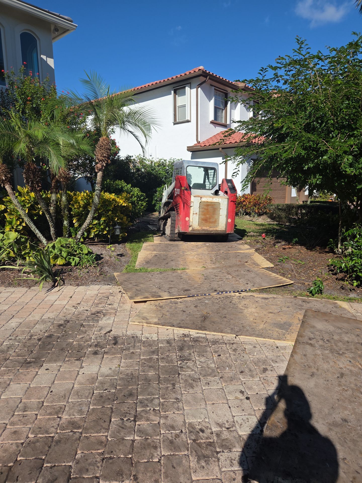 Hammock Creek Estate | Phase 1 – The Art of Precision Removal by Alpha Zeta Enterprises Inc
