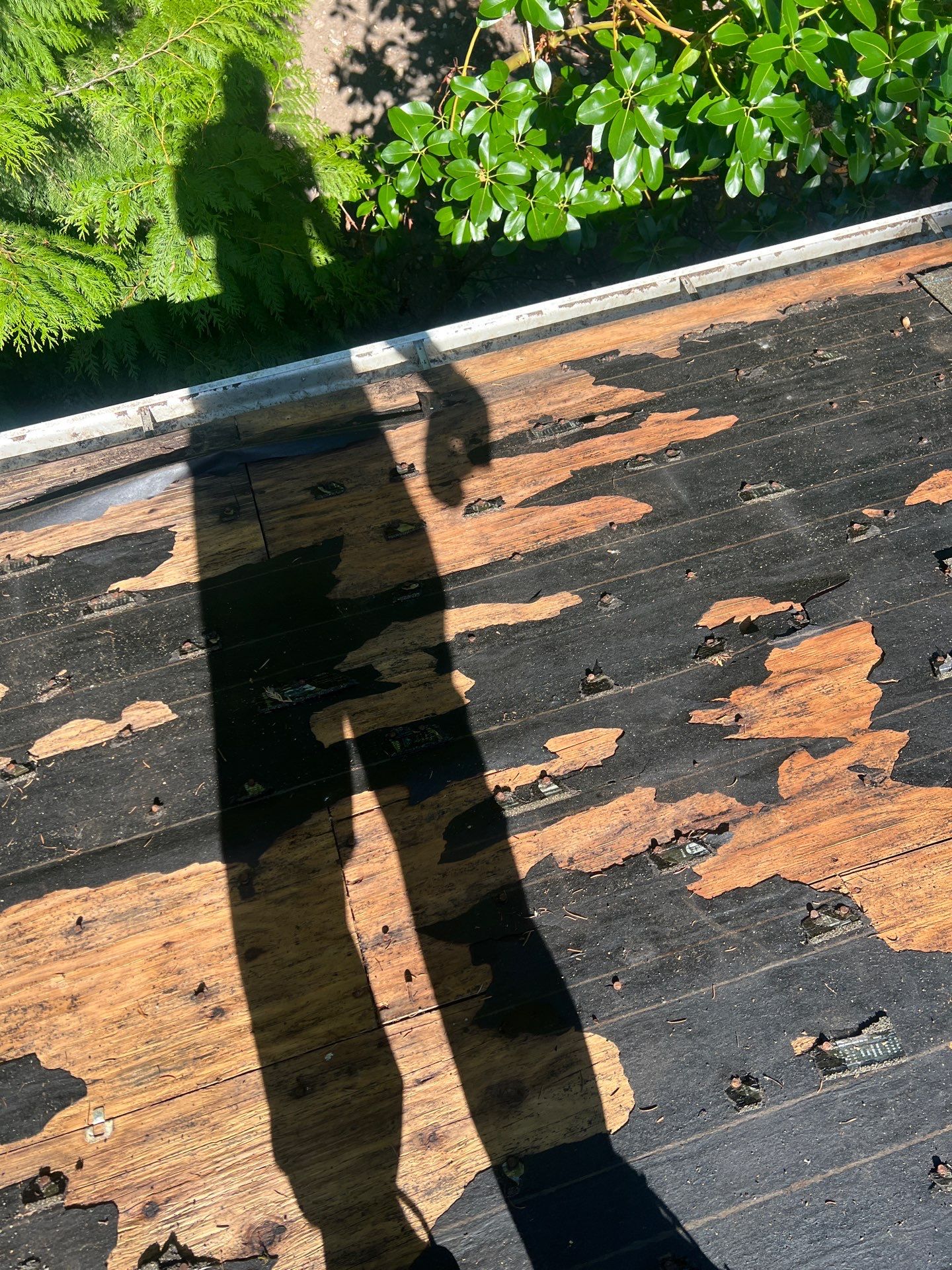 Project in Bellevue by Roofing Formula LLC