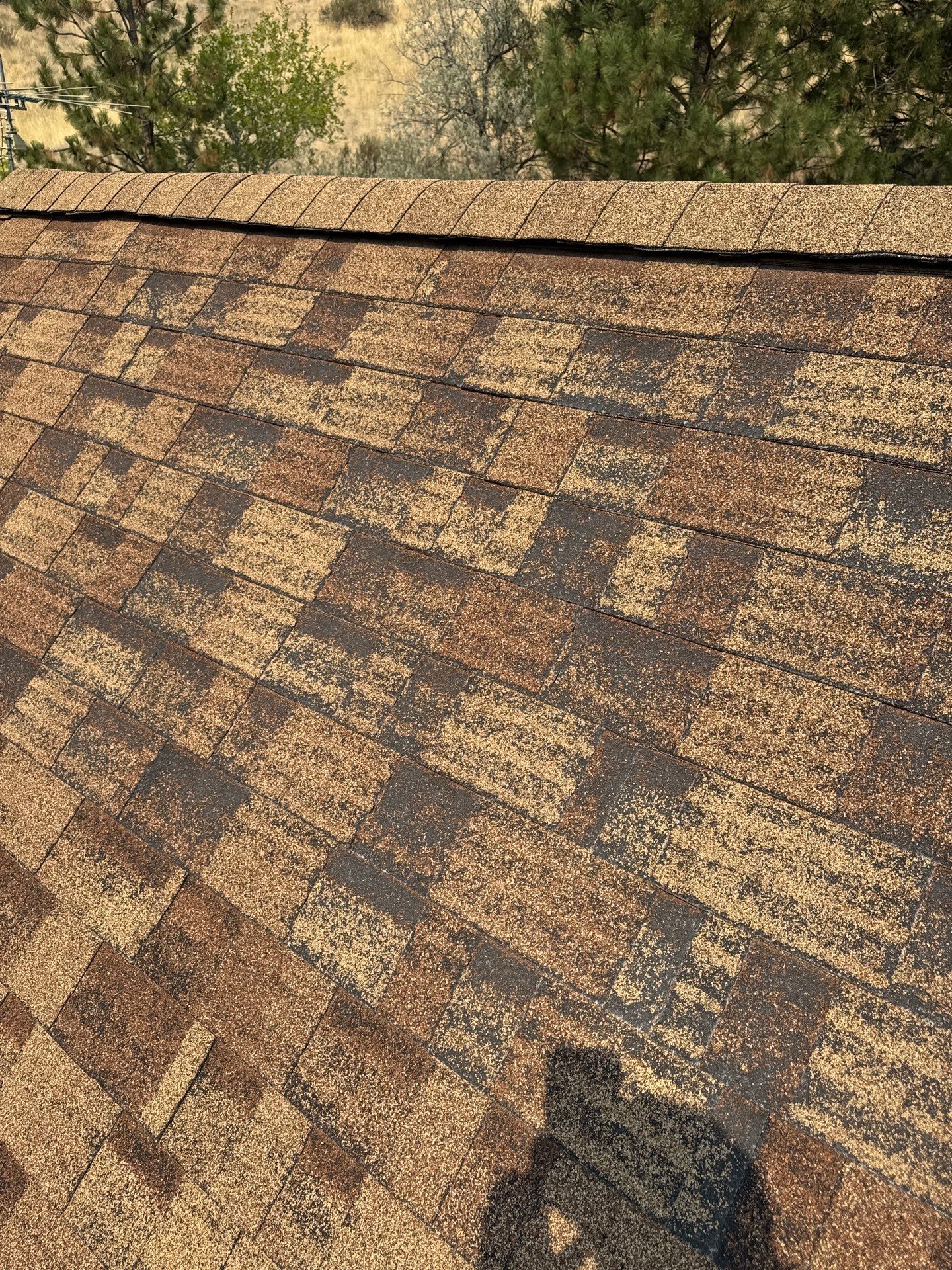 Architectural Shingle Roof Replacement for Boise Log Cabin Home by Olive Roofing
