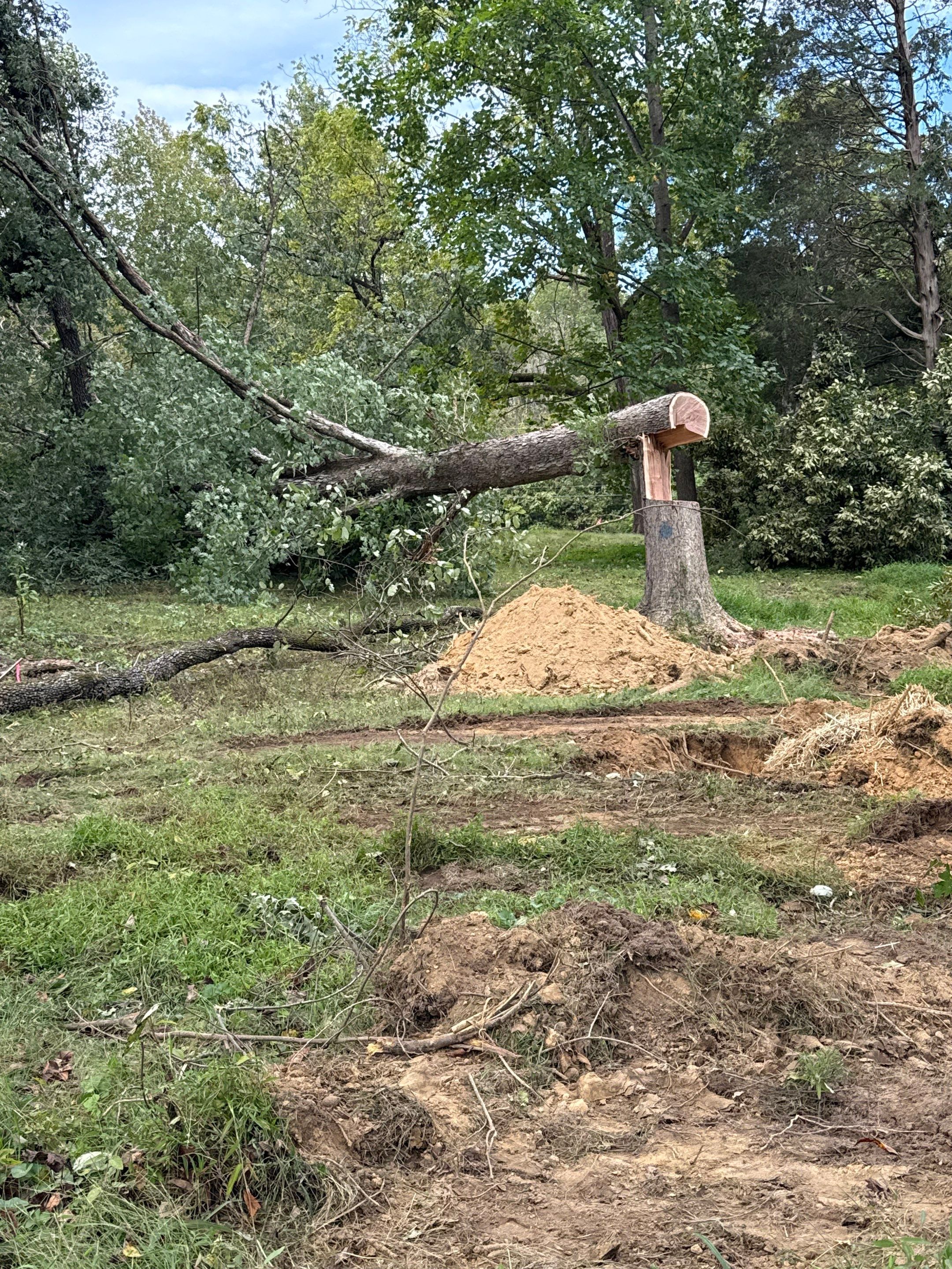 Residential Site Preparation and Land Clearing in Thomasville by Four Oaks Grading and Septic, LLC