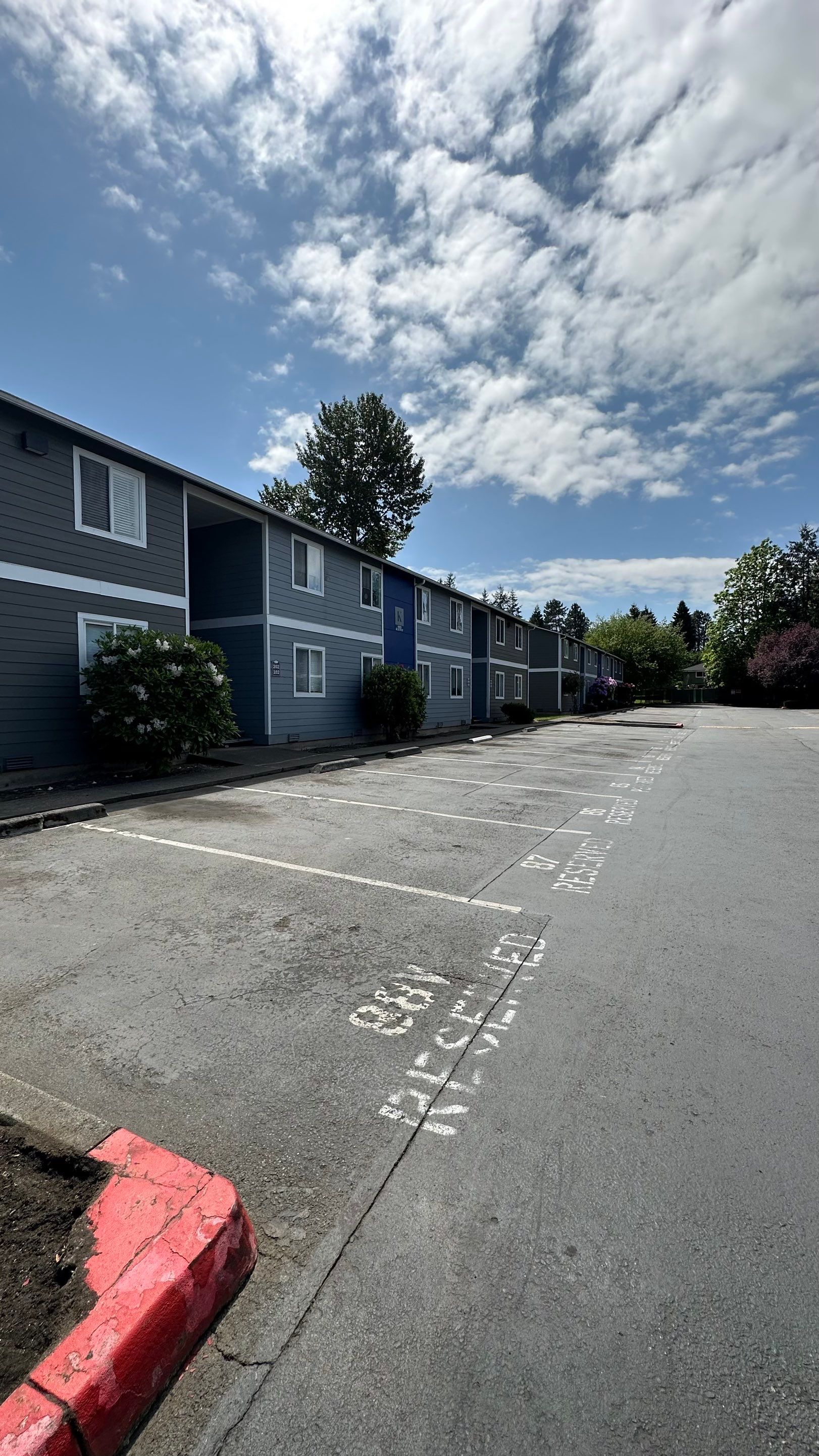 Chaz | Driveway Repave, Asphalt Project  by Jireh Asphalt & Concrete Inc 