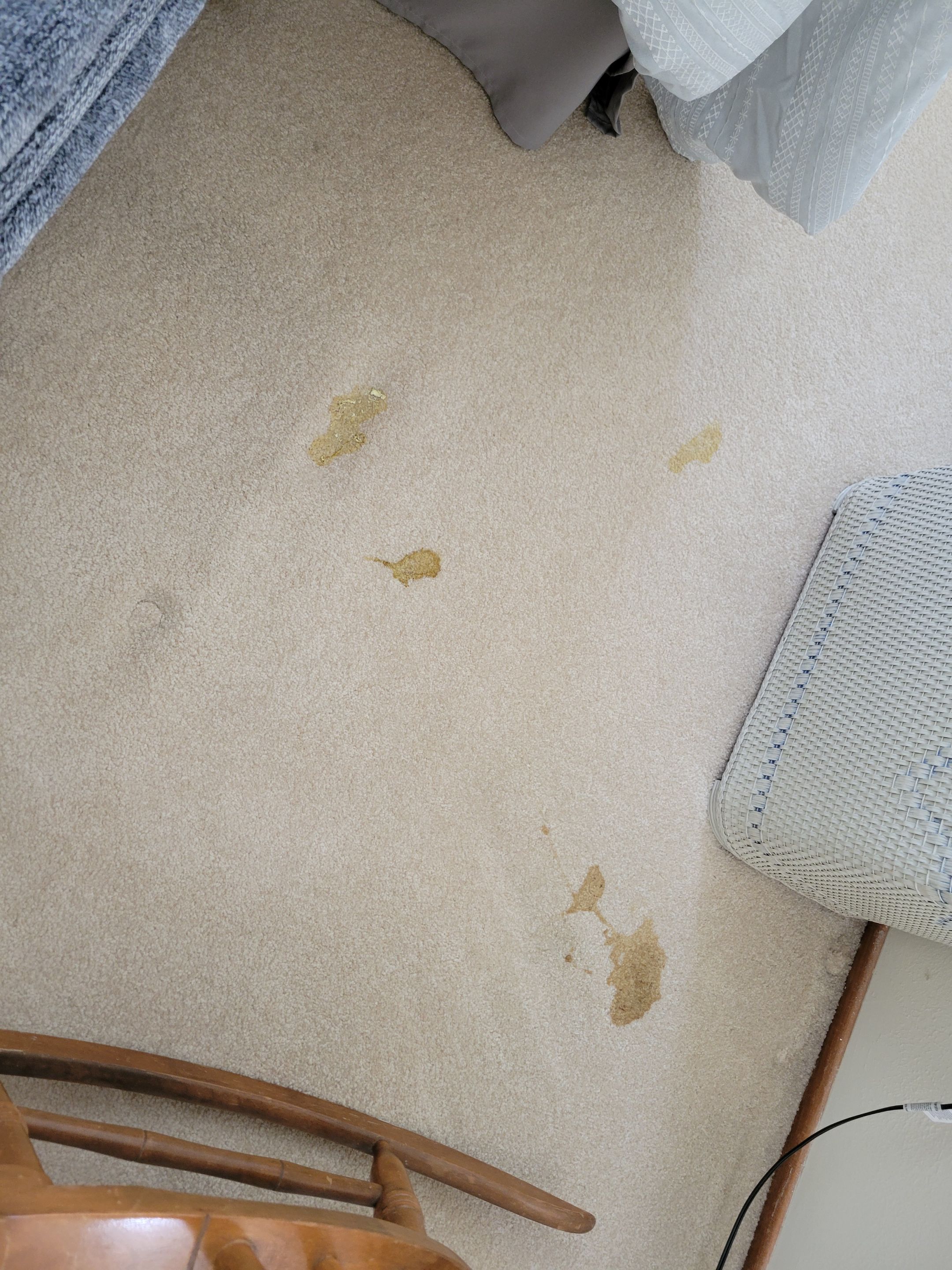 Removal of Glue Stains by Ardent Carpet Restore LLC