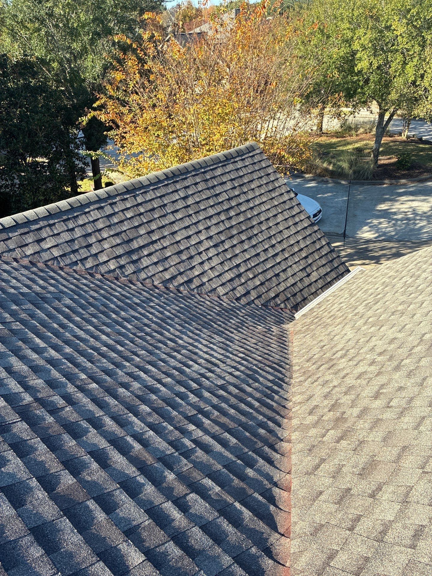 LYNA L by Boss Hogg Roofing