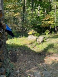 Firewood Delivery  using Seasoned Firewood by Mike Jones & Sons Tree Service LLC 