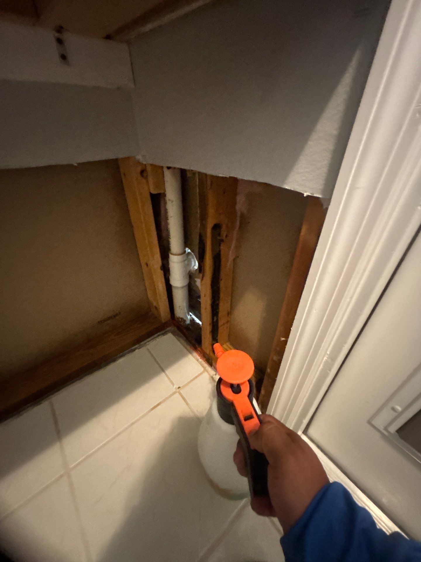 Mold Remediation by Ampm Restoration Services