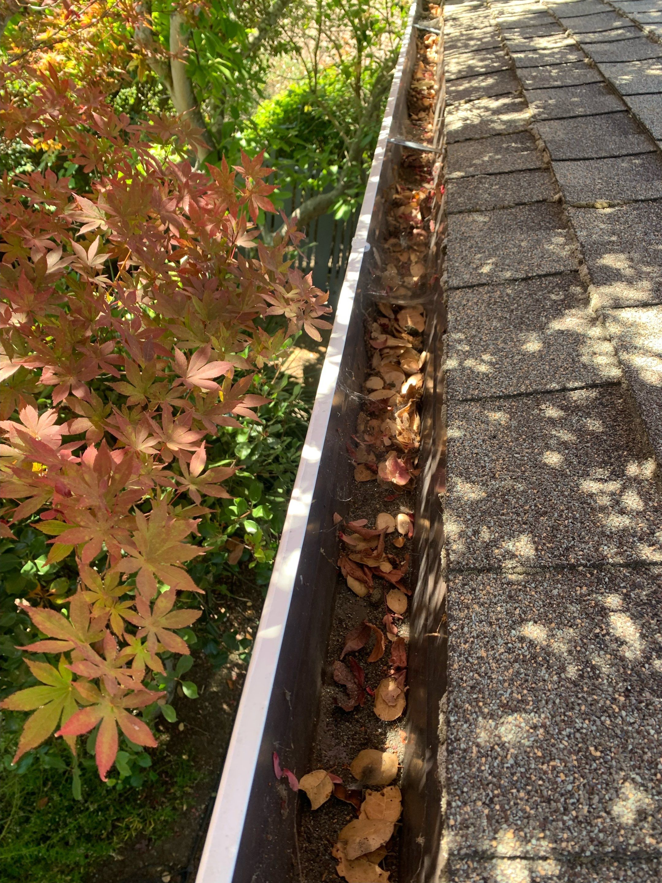 Gutter Cleaning, Lafayette, CA by SpotFree Window Cleaning