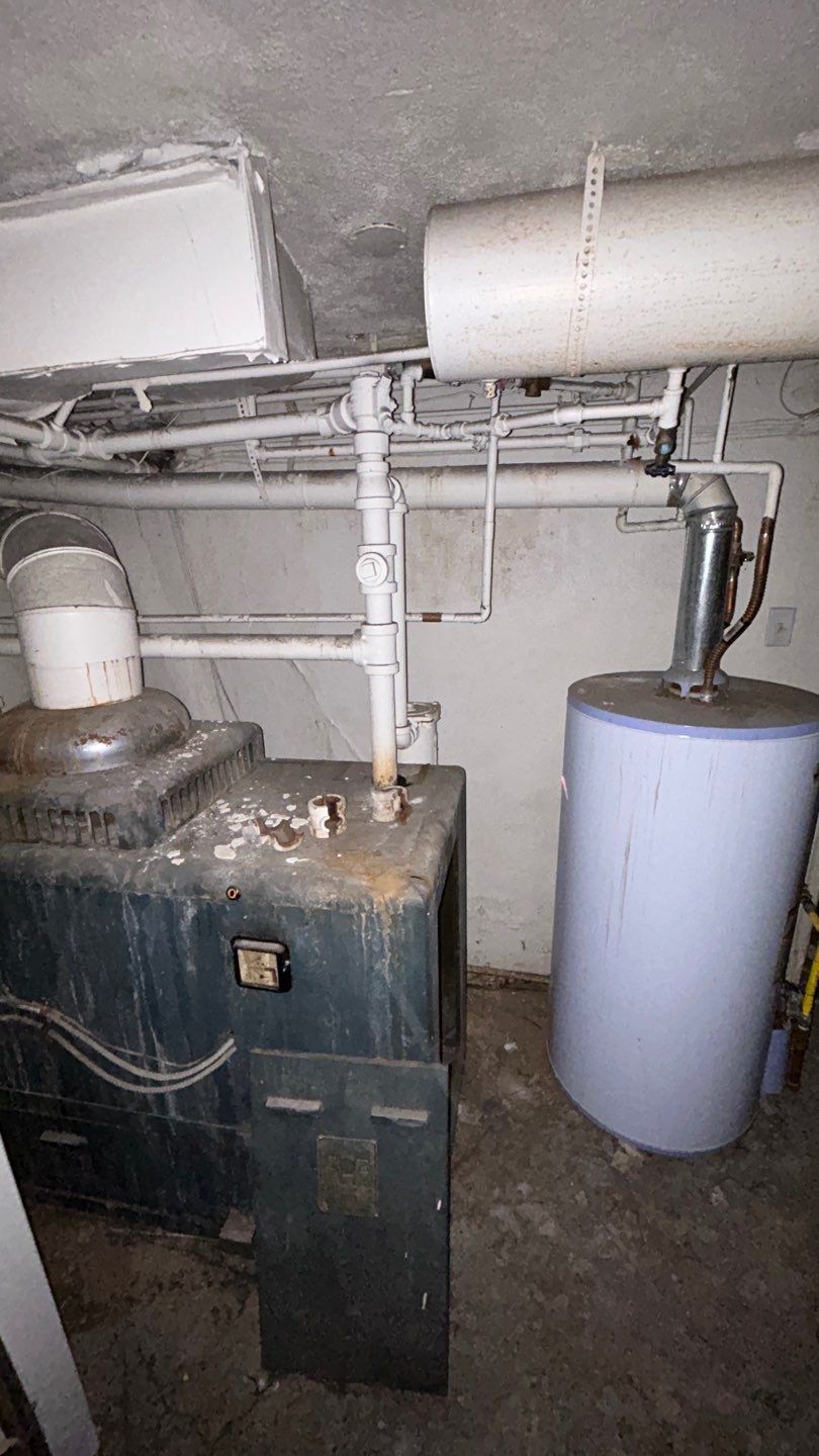 Mold Remediation by Accountable Home Services