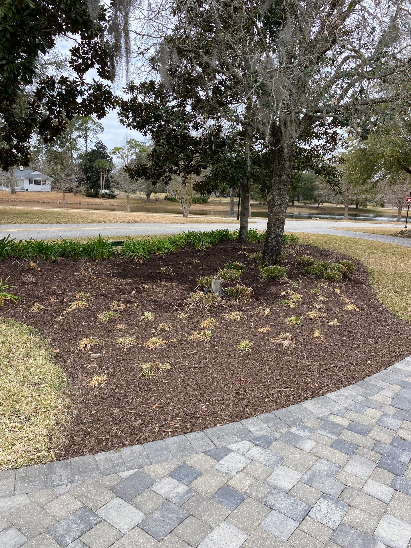 Deerwood Resident | Tree Removal & Mulch Install by ProGreen Services