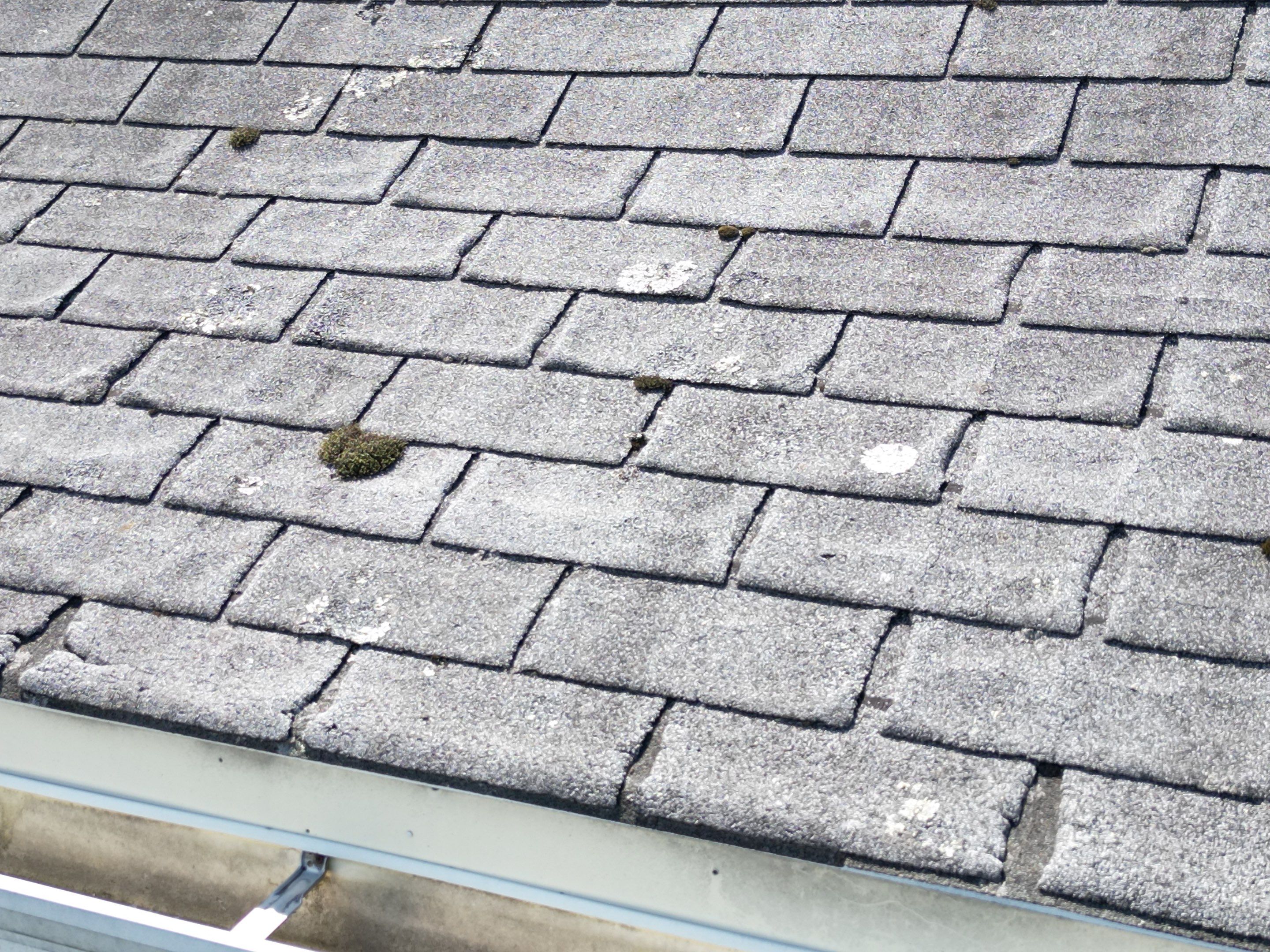 Roof Replacement with Skylight Flashing in Waltham, MA by Mighty Dog Roofing of Greater Middlesex County