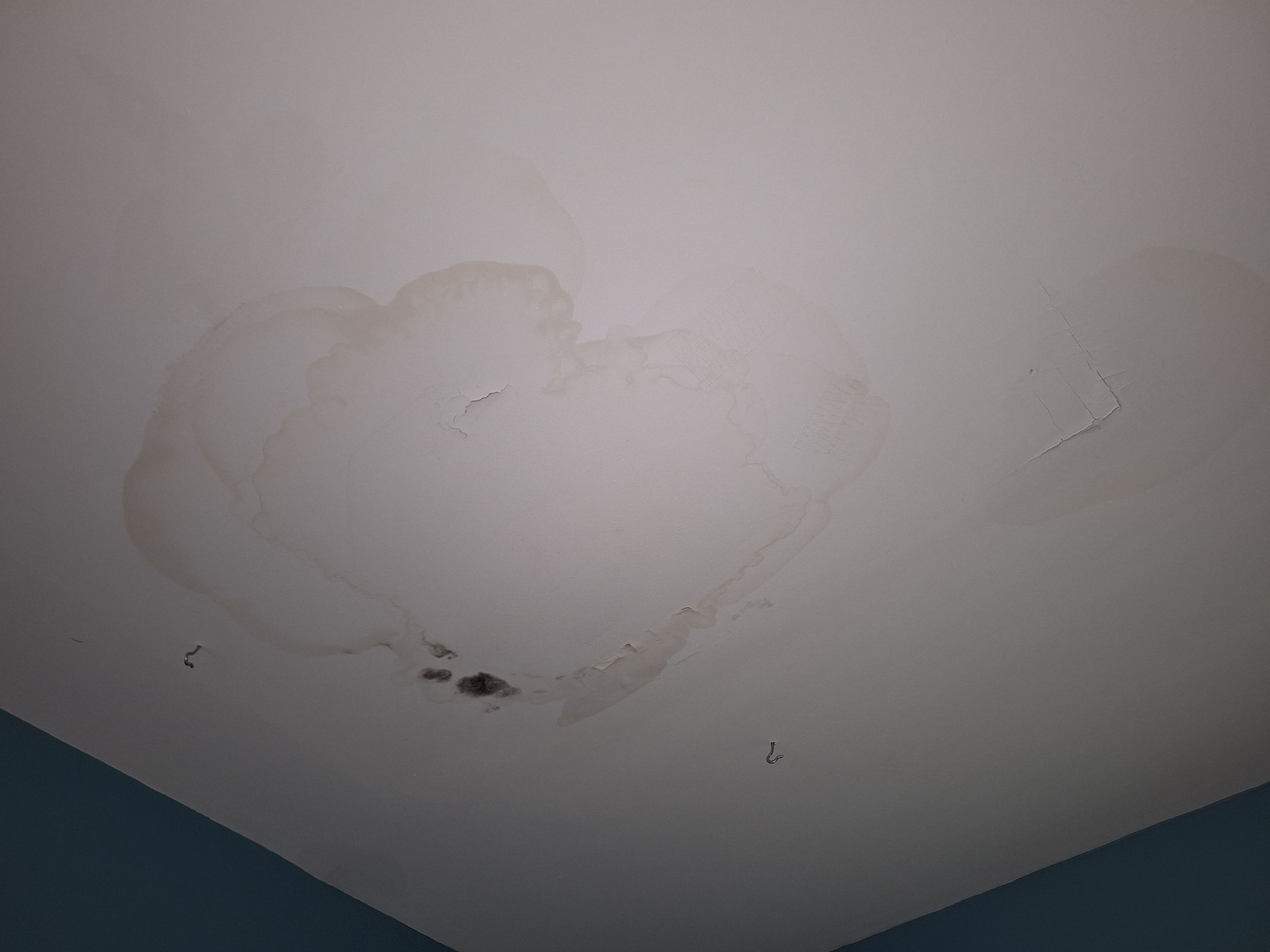 Mold Remediation in Shelbyville, KY by ANR Restoration