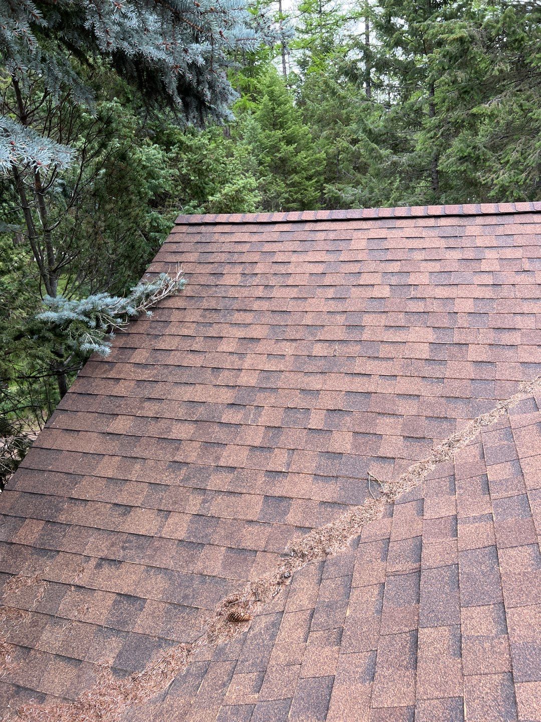 GAF Timberline HDZ - Hunter Green by Montana Roofing Solutions