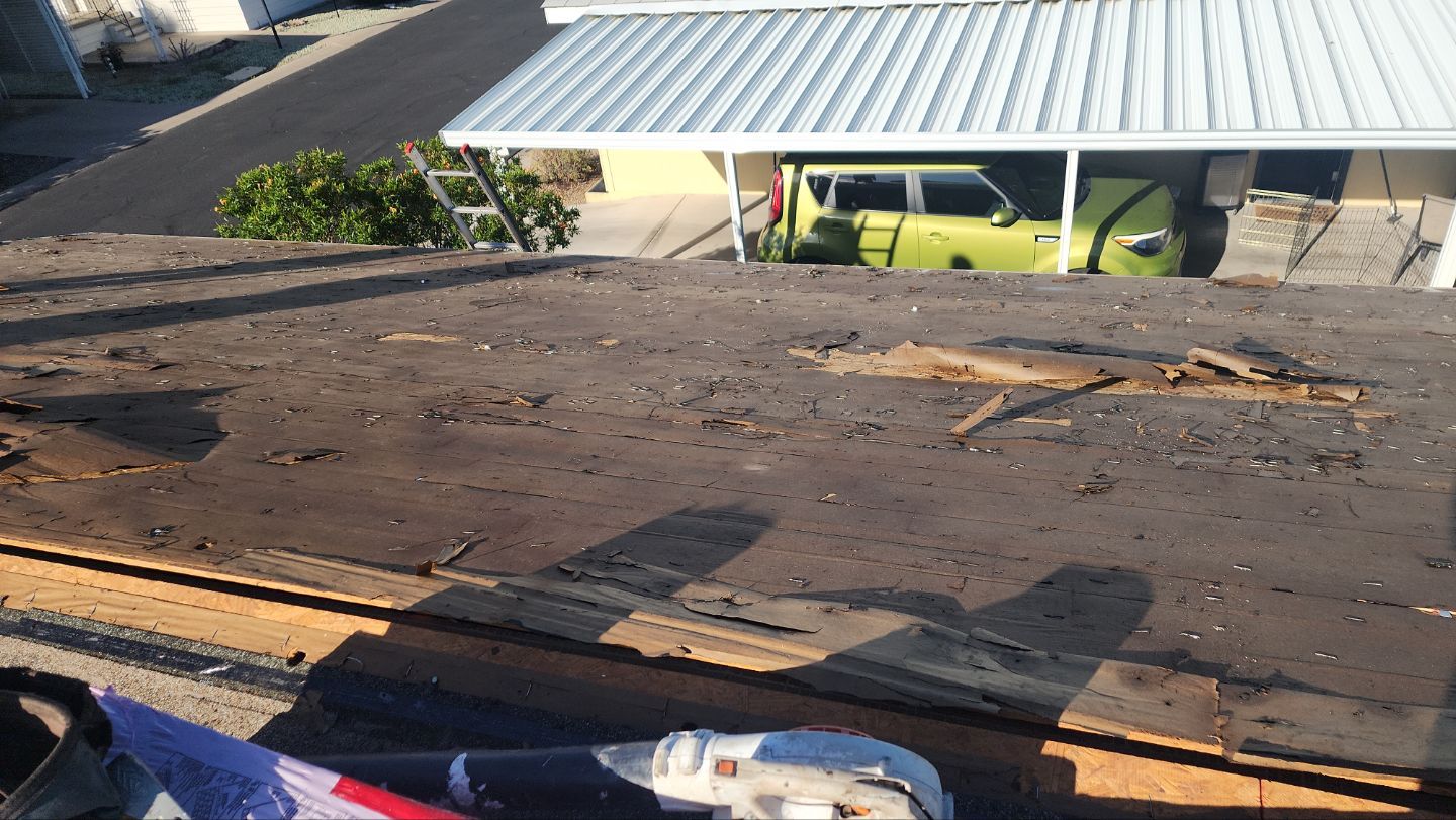 Silver Birch Shingles by Reimagine Roofing