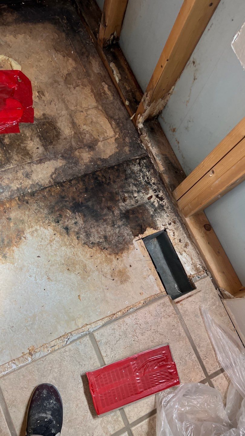 Water Damage and Mold Remediation by Accountable Home Services