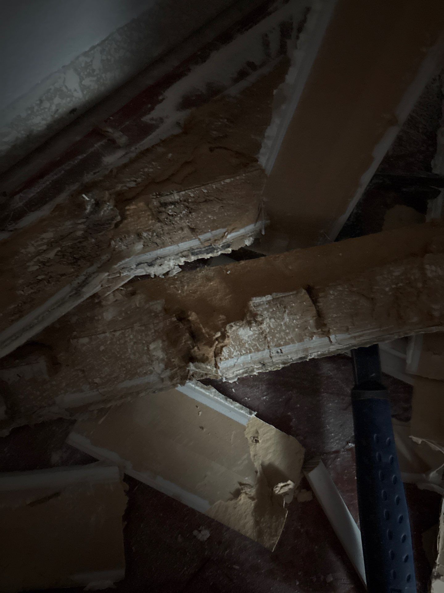 Water Damage Mitigation by All Dry Services of North Austin