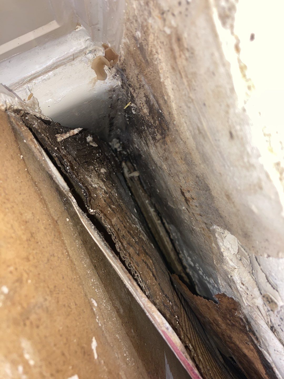 Water Damage in Bathroom by Accountable Home Services