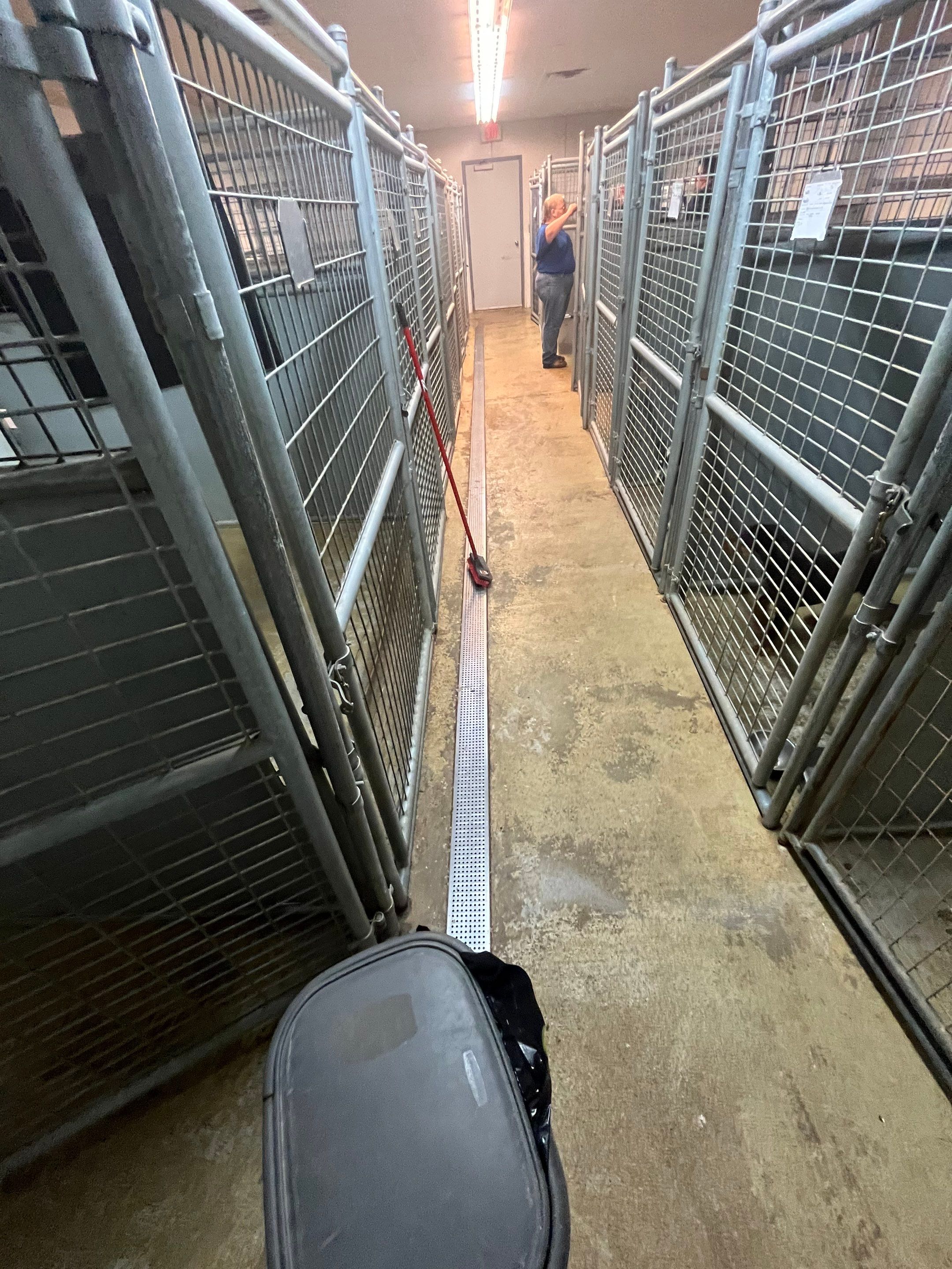 Durable Commercial Concrete Coatings for Brandon Valley Veterinary Clinic by Select Painting, Coatings & Garage Cabinets