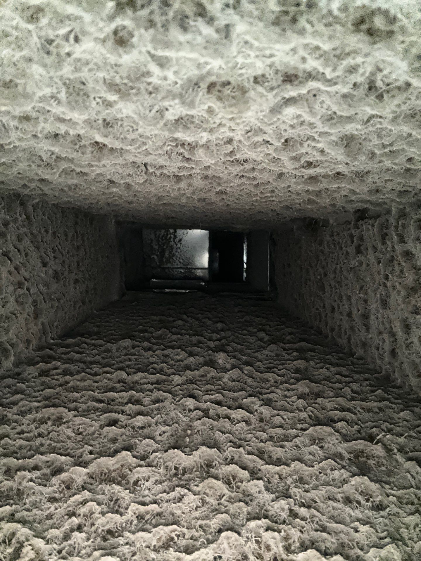 Air Duct Cleaning w/Duct Sanitizing by Pronto Air Duct Cleaning