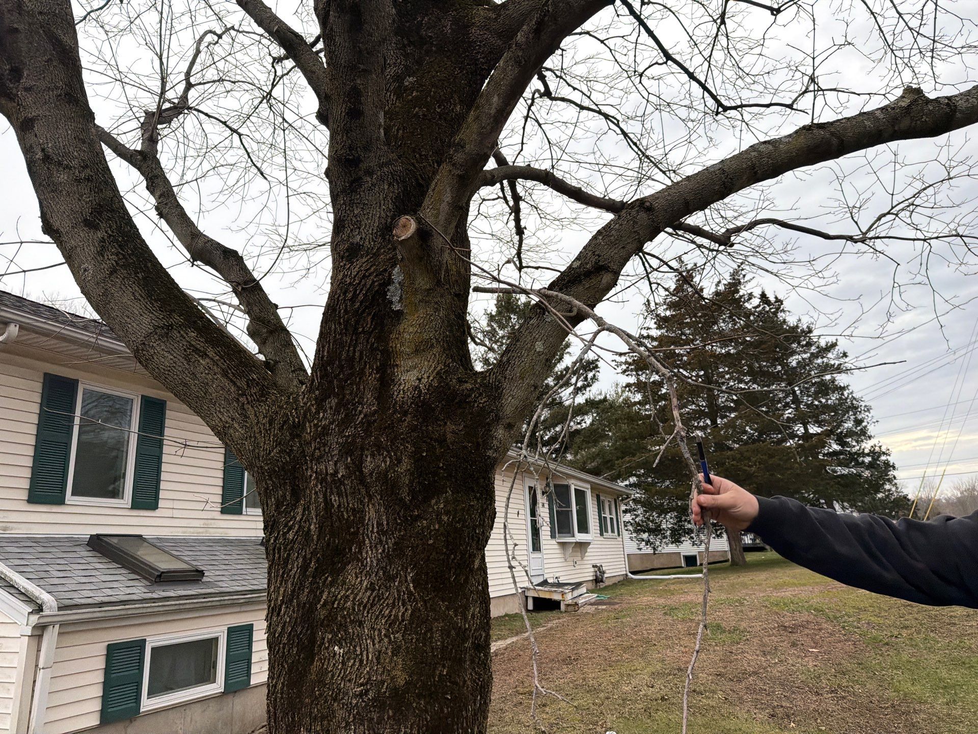 Residential Spring Cleanup and Property Maintenance in East Haven by Diamond Image LLC