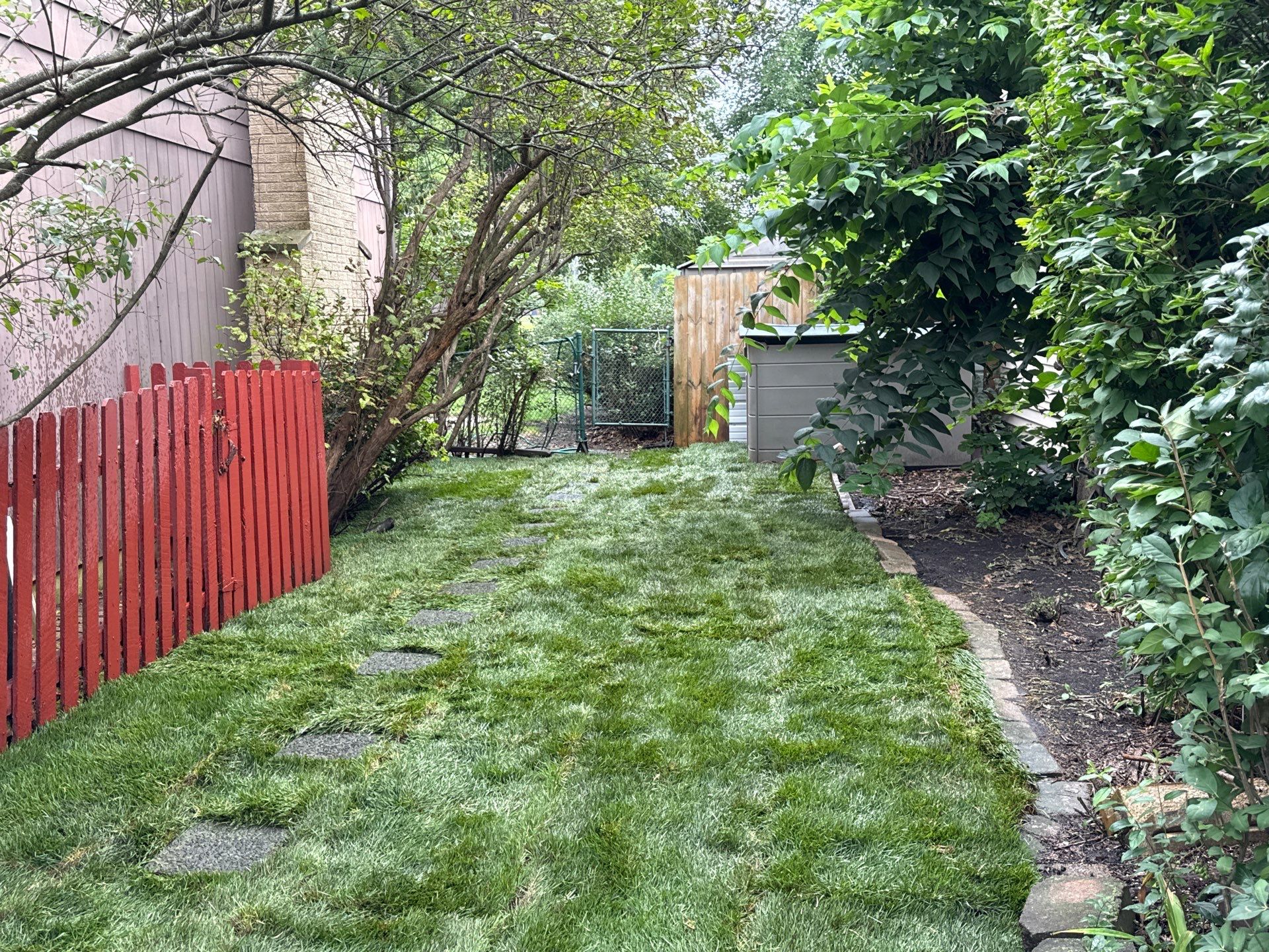 Helana M. - Mount Prospect, IL by A&N