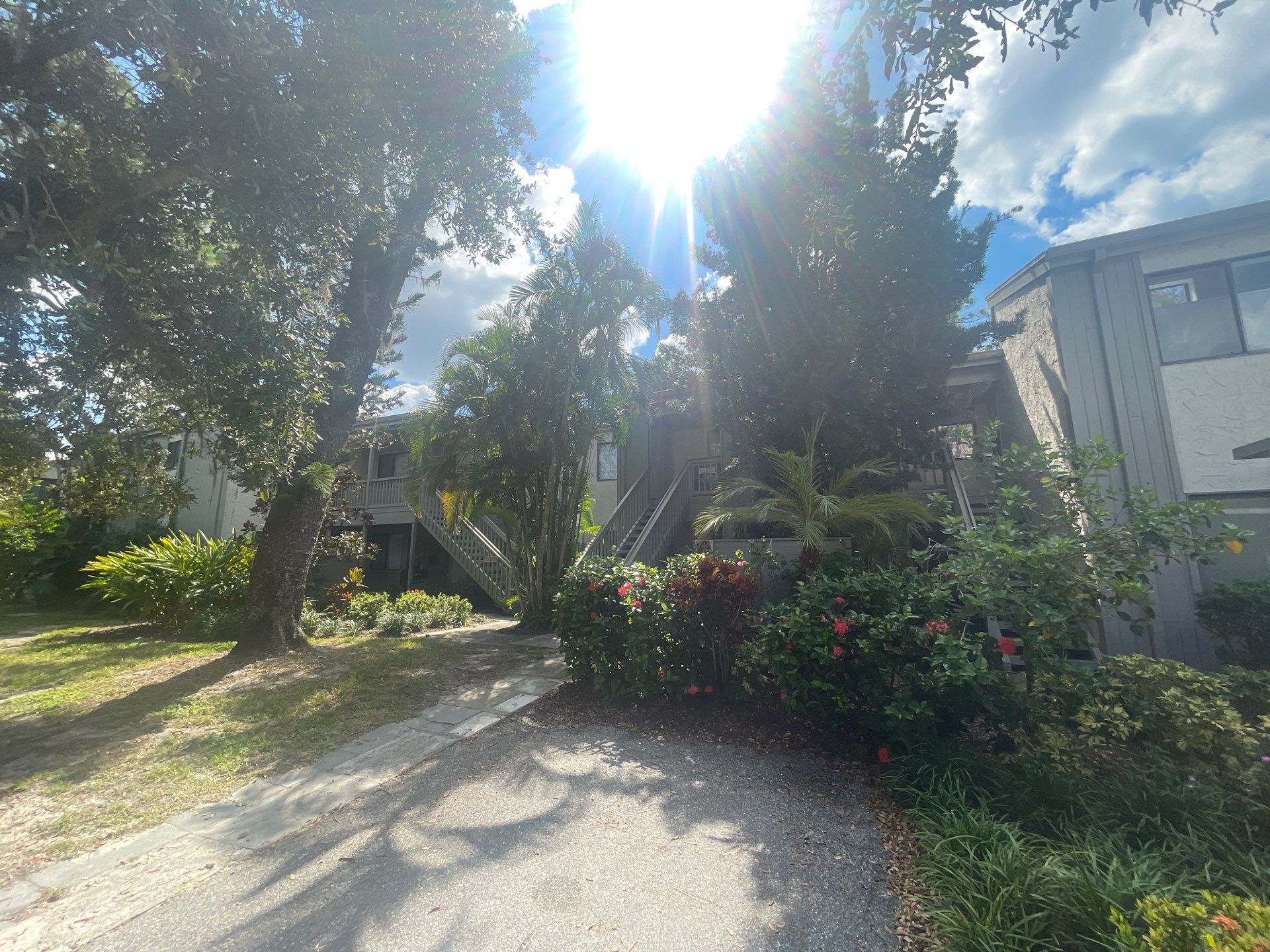 Clean Gutters and Roof in Sarasota FL by Gutter Professors