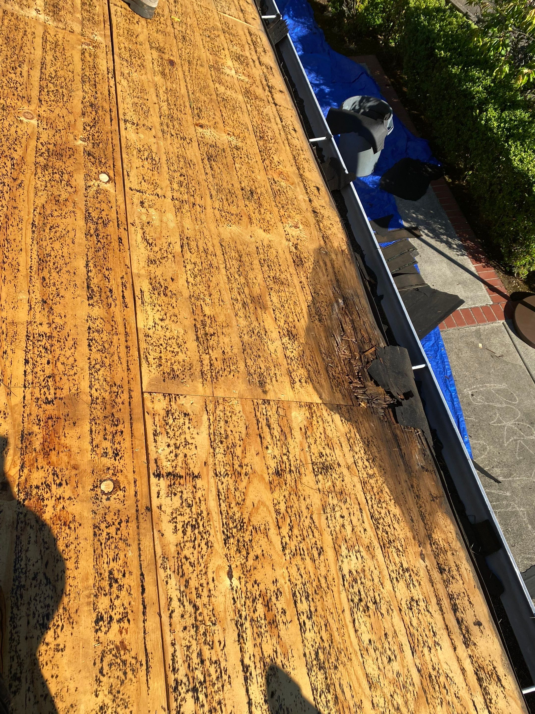 Residential Roofing Installation using Asphalt Shingles by Vitan Construction LLC 