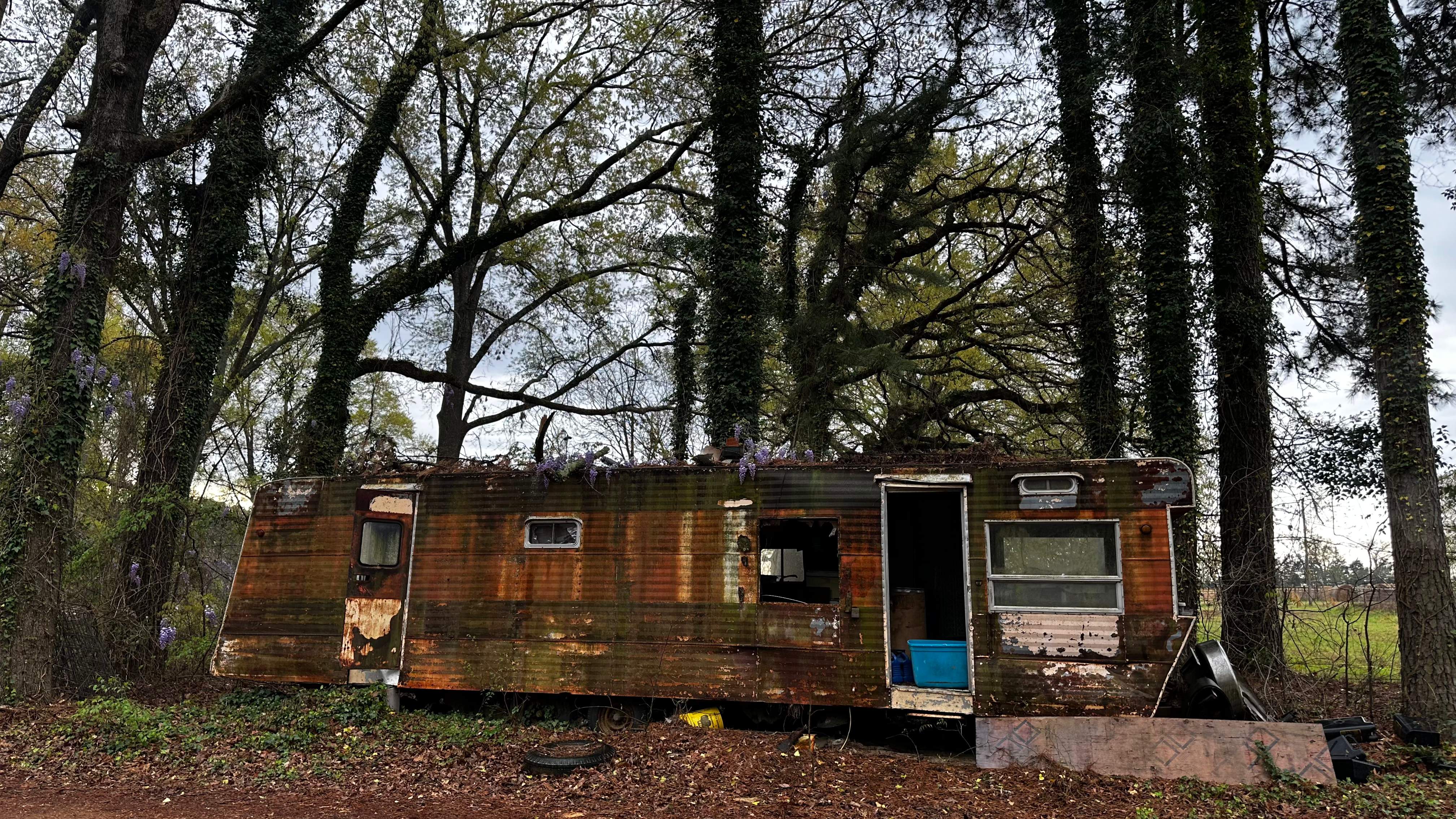 BeeGirl ETX HQ by Rockwall Honey Bee Company