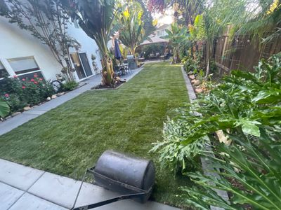 Project in Davis