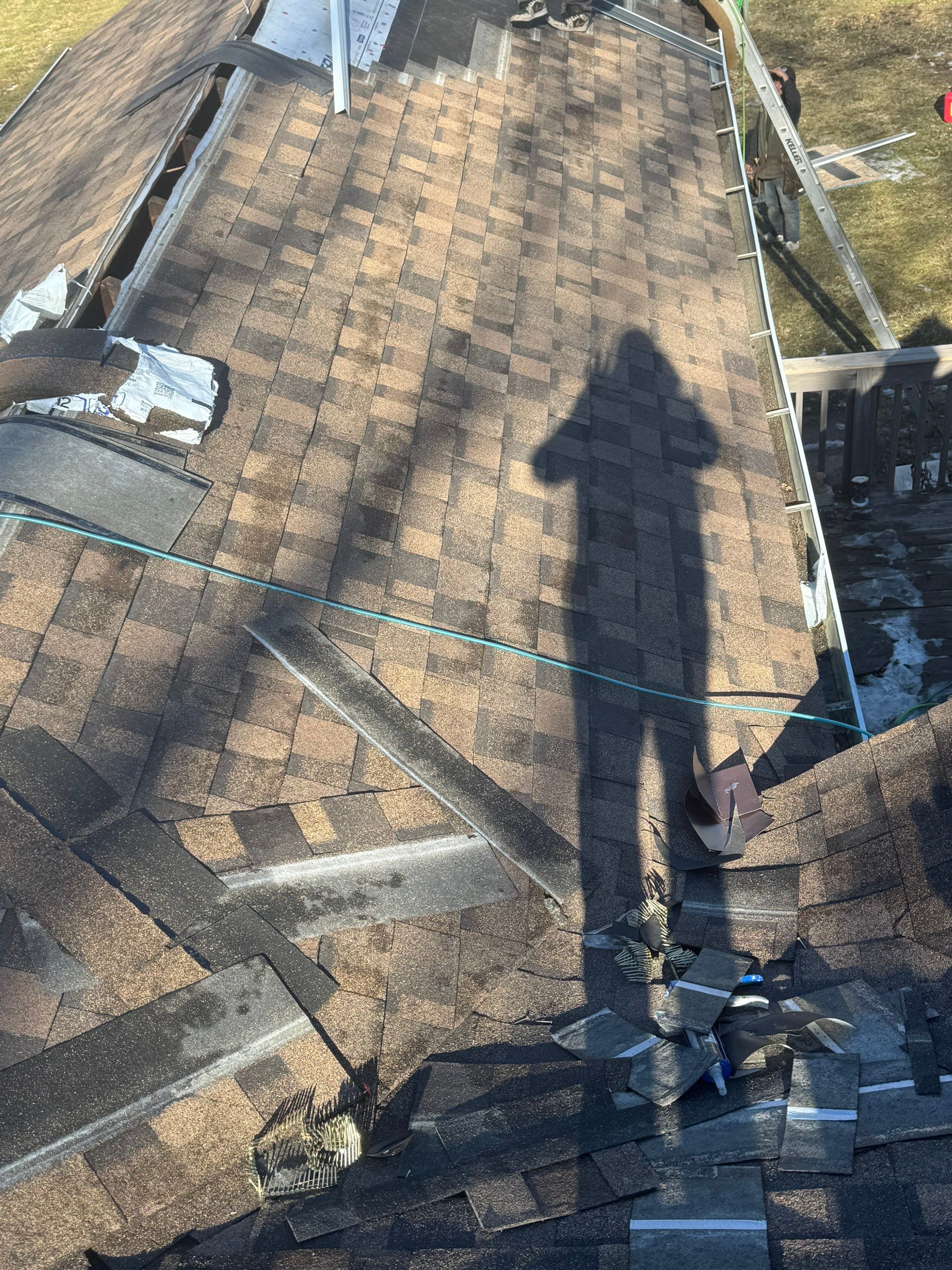 Sharkey Roof by Erie Home