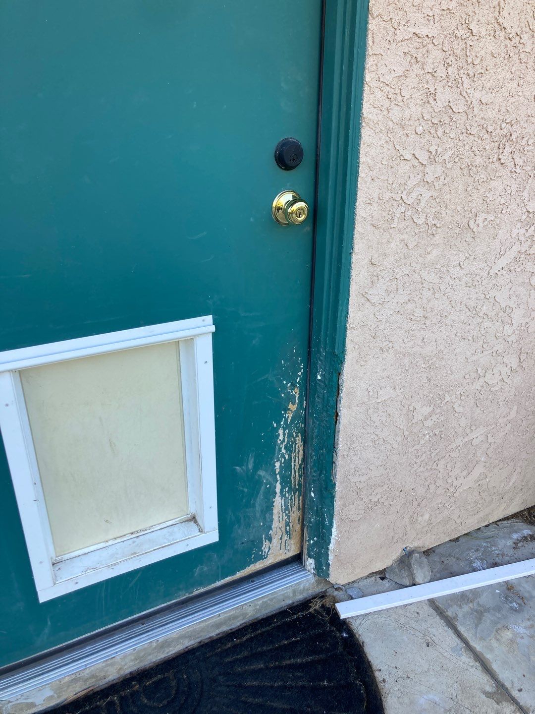 Repair Door Face by Andre Handyman
