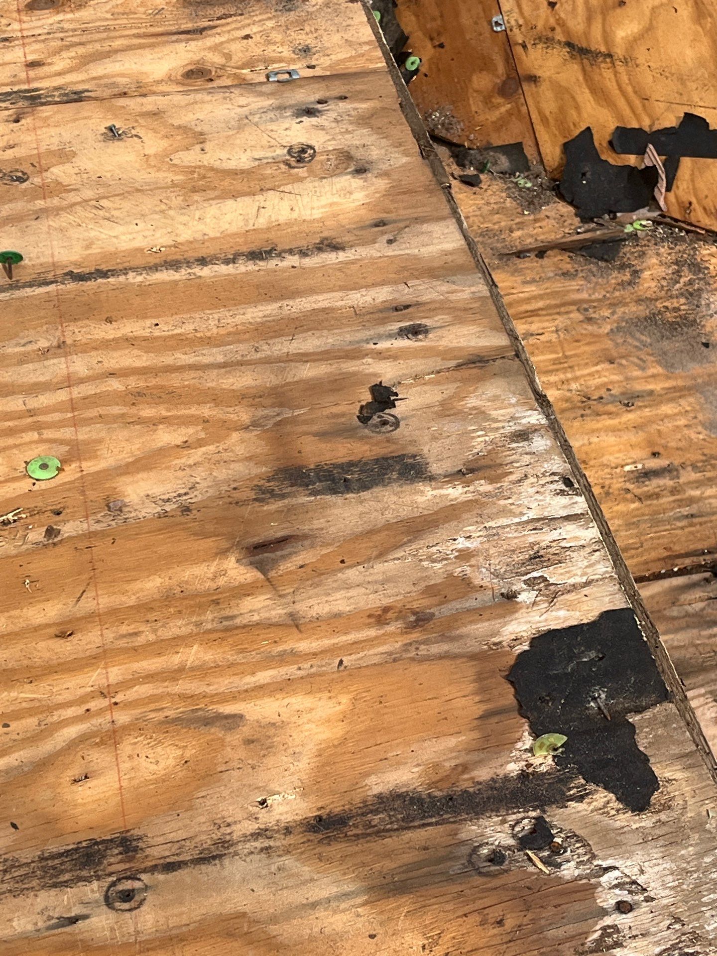 Project in Tampa 33647 by Mitchell Roofing Company LLC