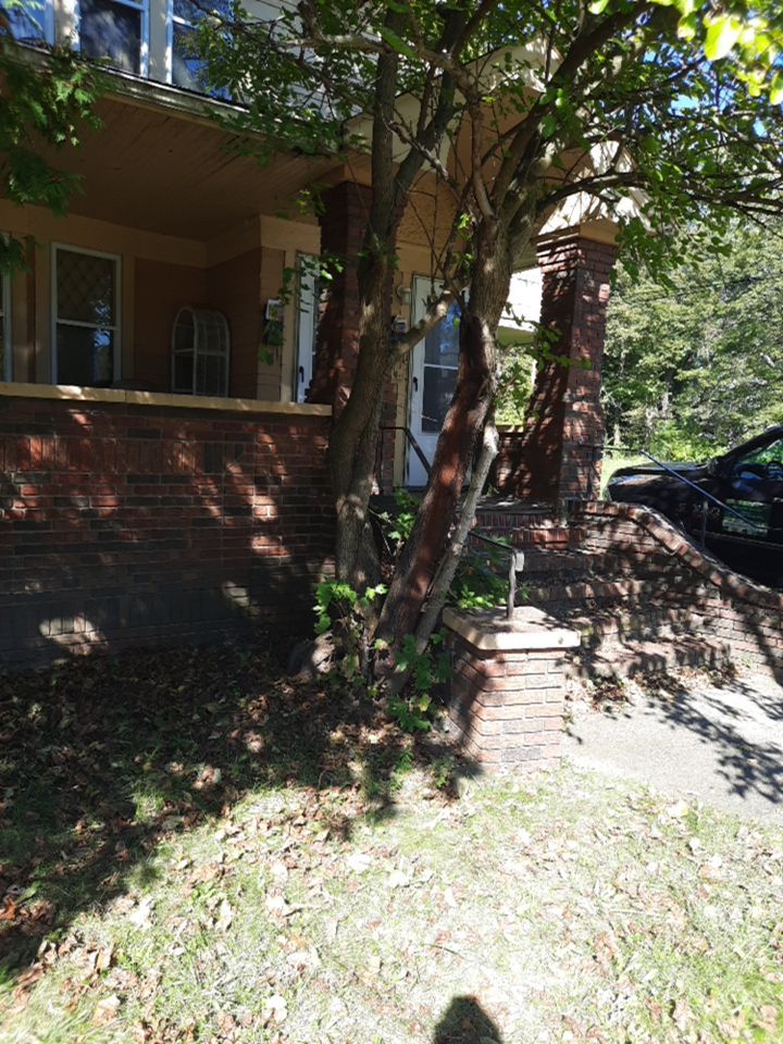 Tree Removal using Tree Removal by Mike Jones & Sons Tree Service LLC 