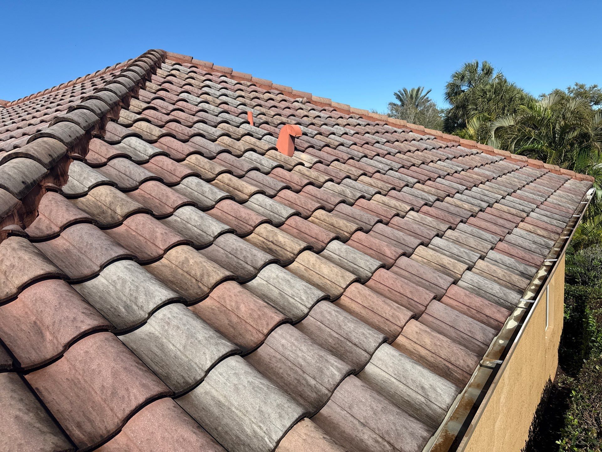 This project focused on a full gutter clean-out to restore proper water flow and prevent overflow issues.  Our scope of work included: 	•	Removing heavy leaf and pollen buildup from the gutter system 	•	Clearing out clogged sections along the rear gutters near the pool cage, where debris tends to accumulate more heavily 	•	Inspecting and cleaning the front gutter guards, which had several blocked areas restricting water flow 	•	Ensuring all downspouts and channels were flowing properly after service  Even with gutter guards installed, debris like pollen, shingle grit, and fine organic matter can still build up over time—especially in Florida’s environment. Regular maintenance helps prevent water damage, overflow, and staining on exterior surfaces.  Another thorough job completed by Sunshine AquaWash® – keeping homes protected from top to bottom. by Sunshine AquaWash