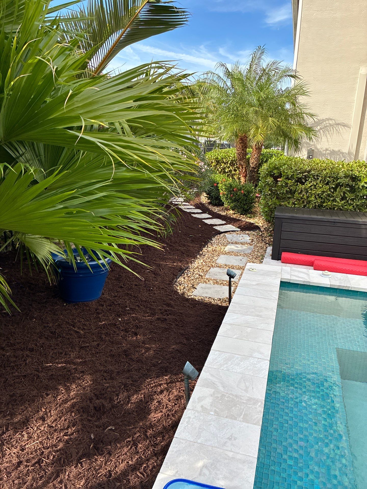 🍃 Berry Park | Detail & Refresh Project  📍 Palm City, Florida by Alpha Zeta Enterprises Inc