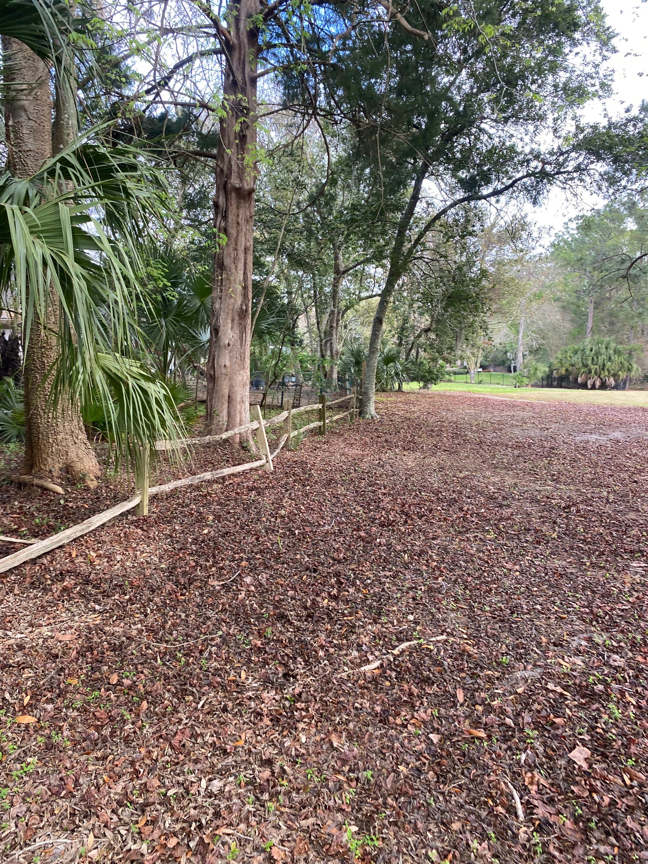 Deerwood Resident | Fence Replacement by ProGreen Services