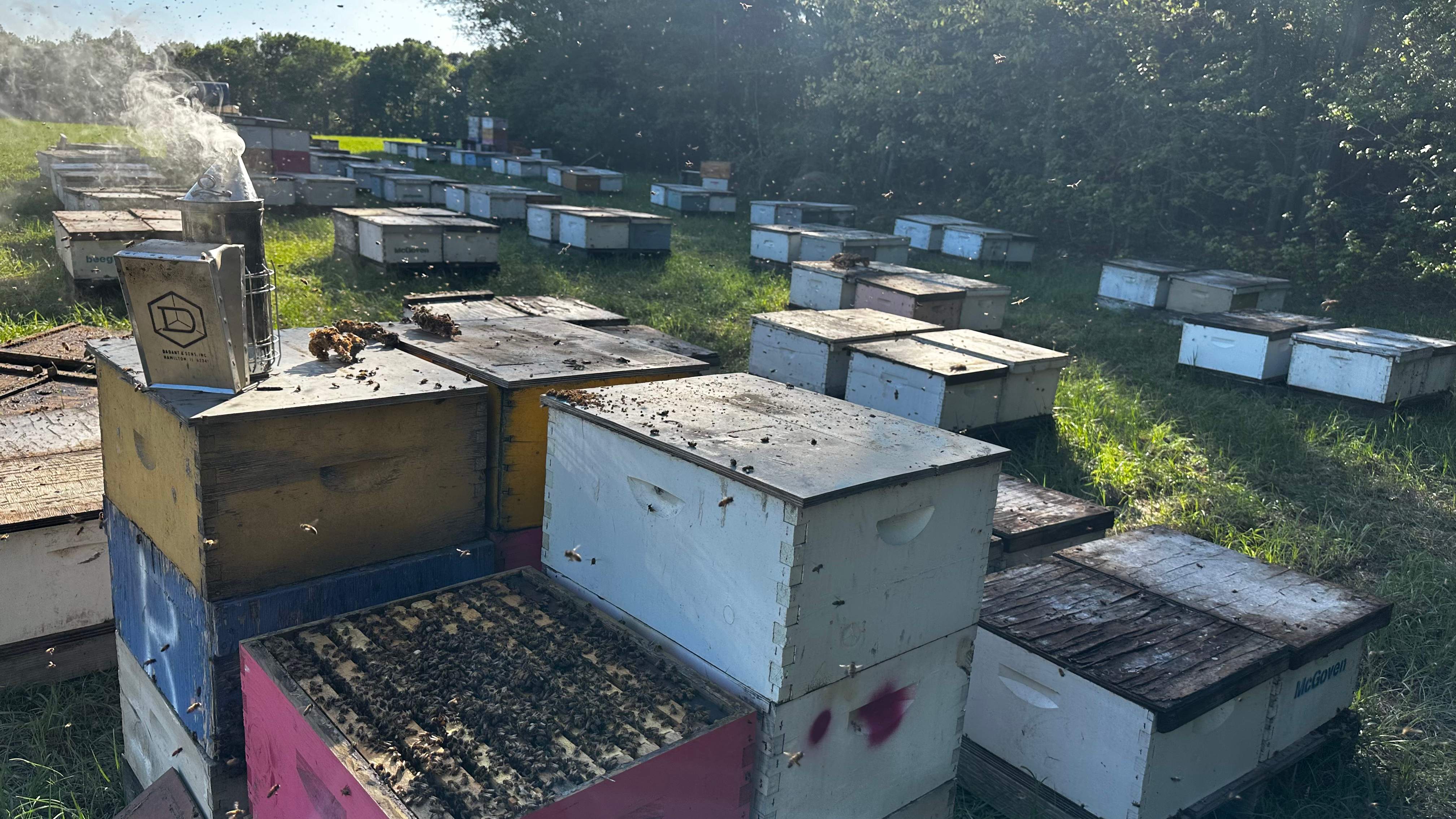 Traylor's Hay Meadow Apiary by Rockwall Honey Bee Company