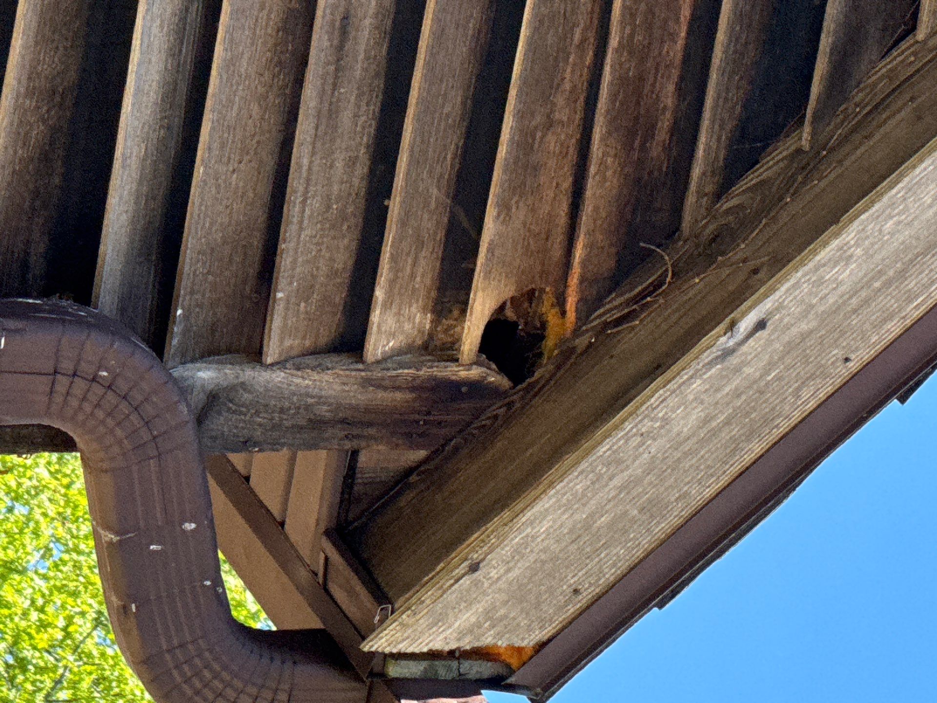 Interior Painting and Exterior Soffit Repair in Milwaukee by OCS Contracting Services