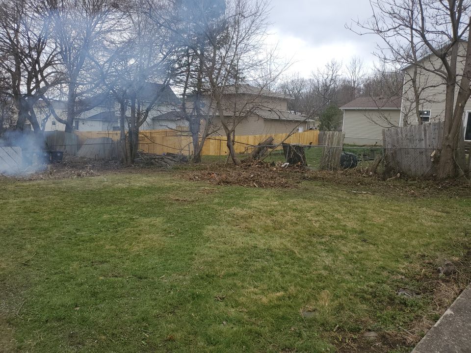 Tree Removal using Tree Removal by Mike Jones & Sons Tree Service LLC 