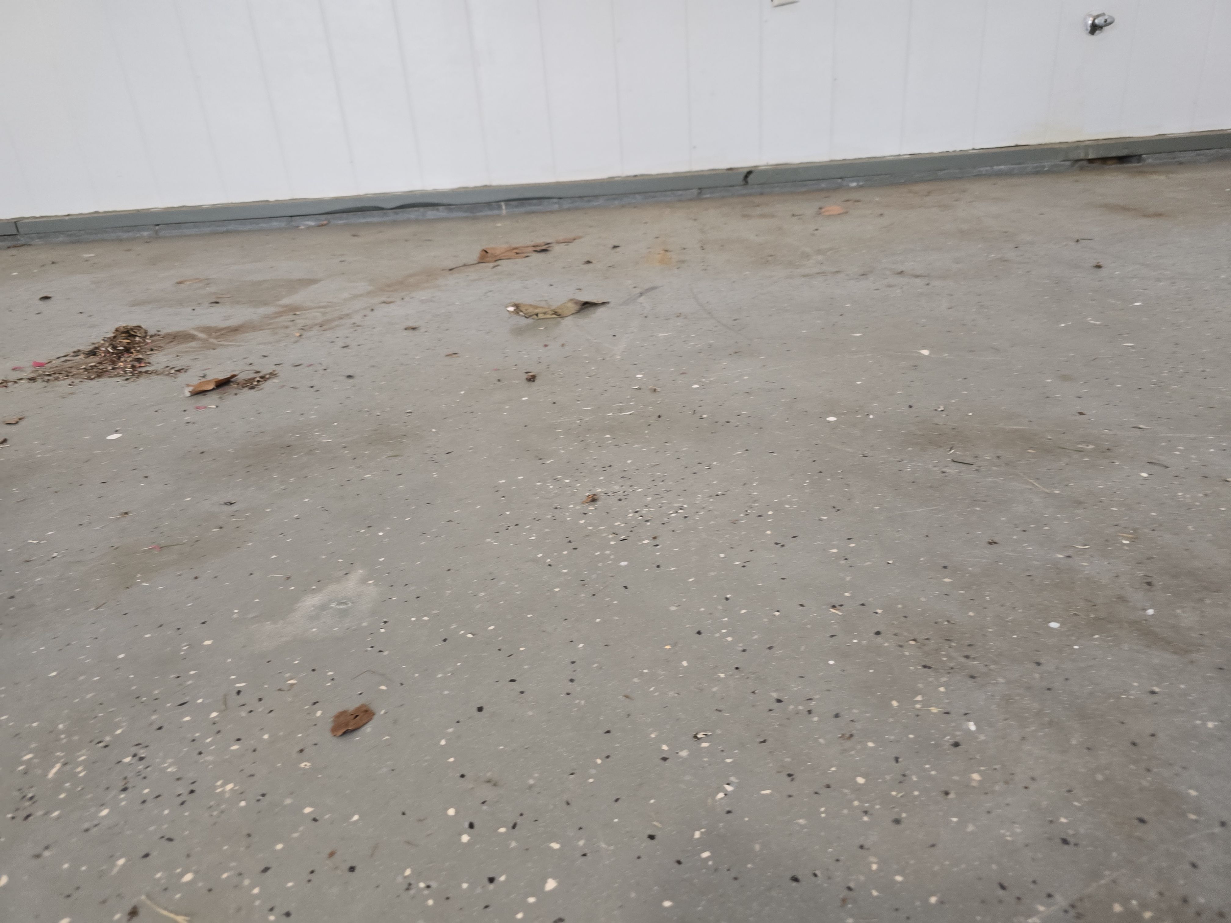 DIY Out - Beautiful Flake In! by Elite Floor Solutions