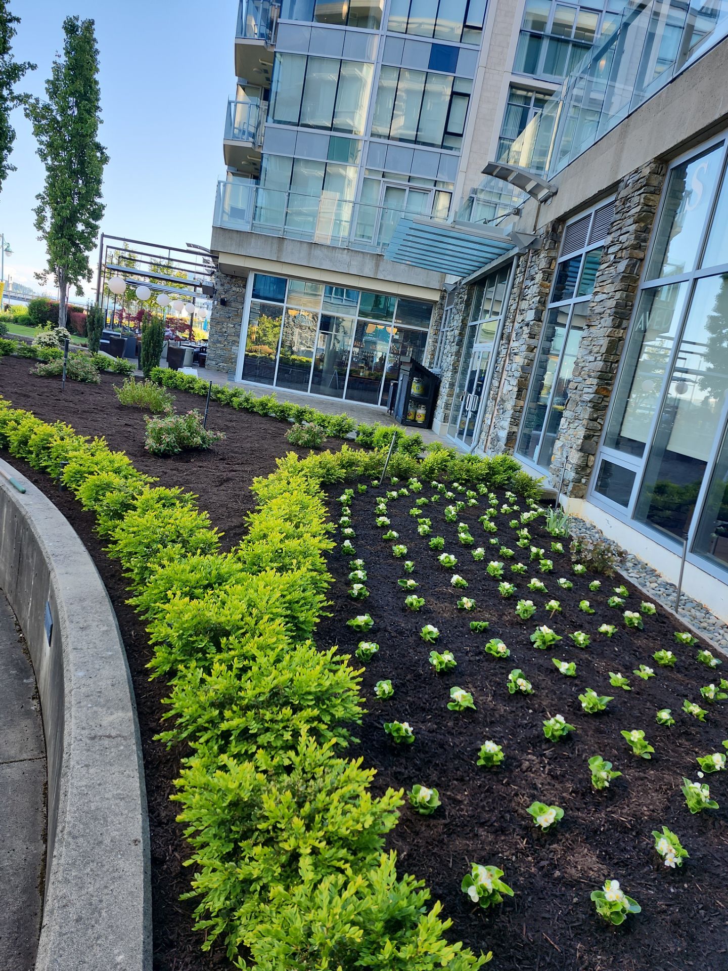 Sidney Pier by Habanero Garden and Exterior Care