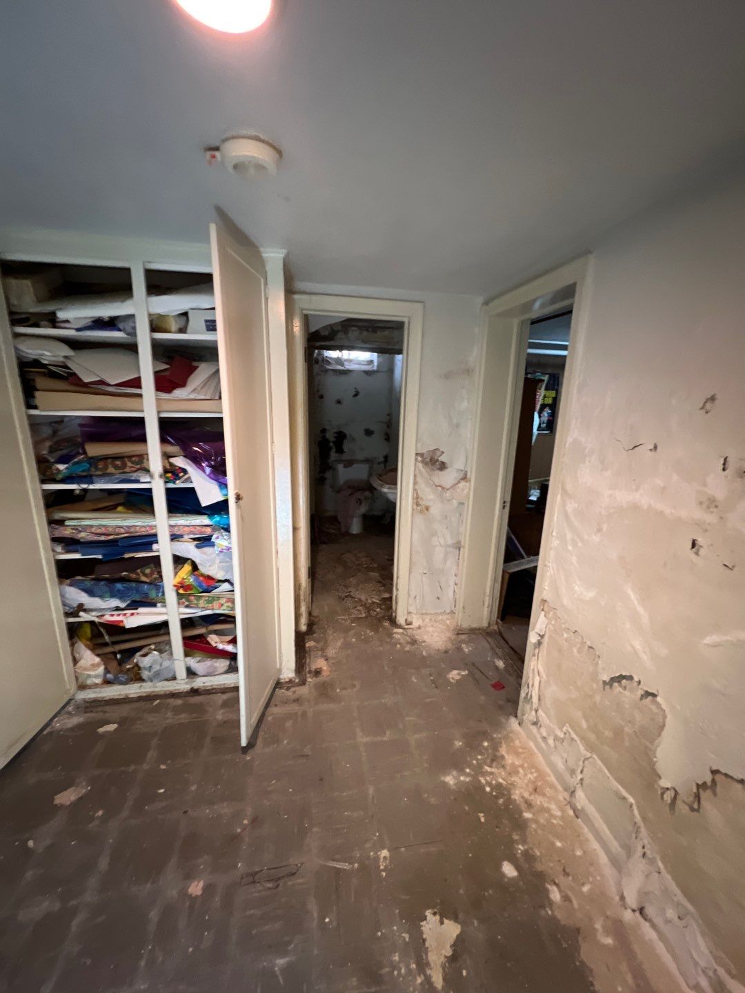 Mold Remediation by Accountable Home Services