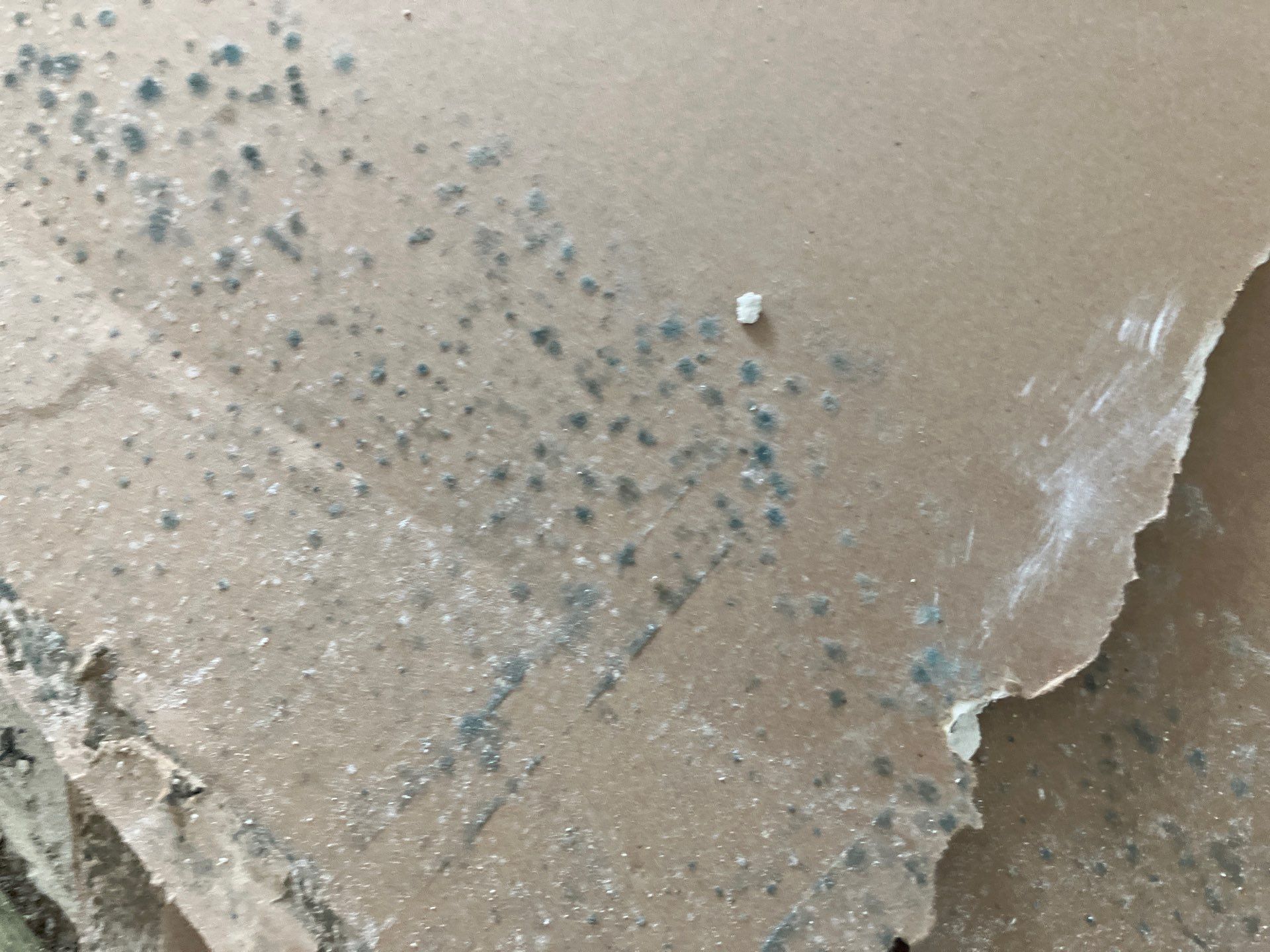 Storm Damage Restoration Services by Ampm Restoration Services