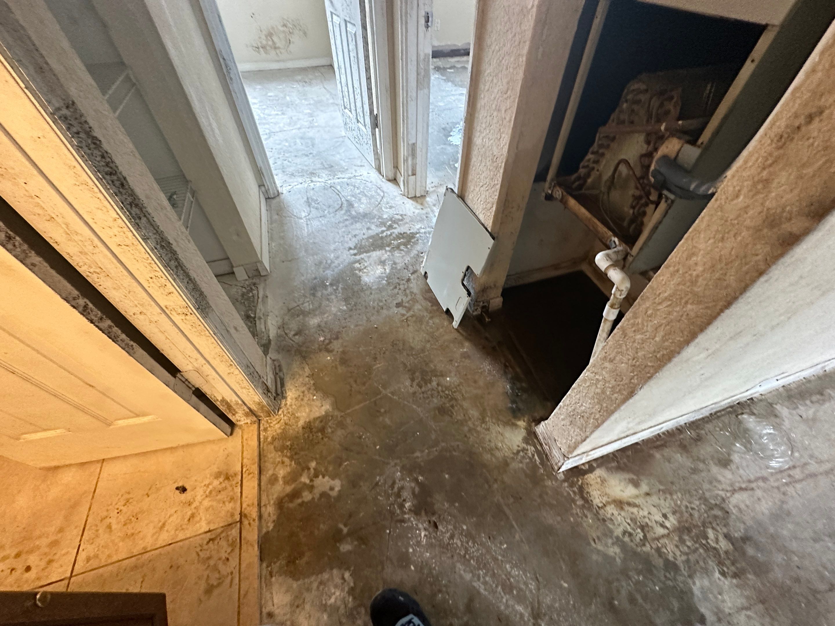 Water Damage Claim in Daytona Beach by FLAPA & KeyStone