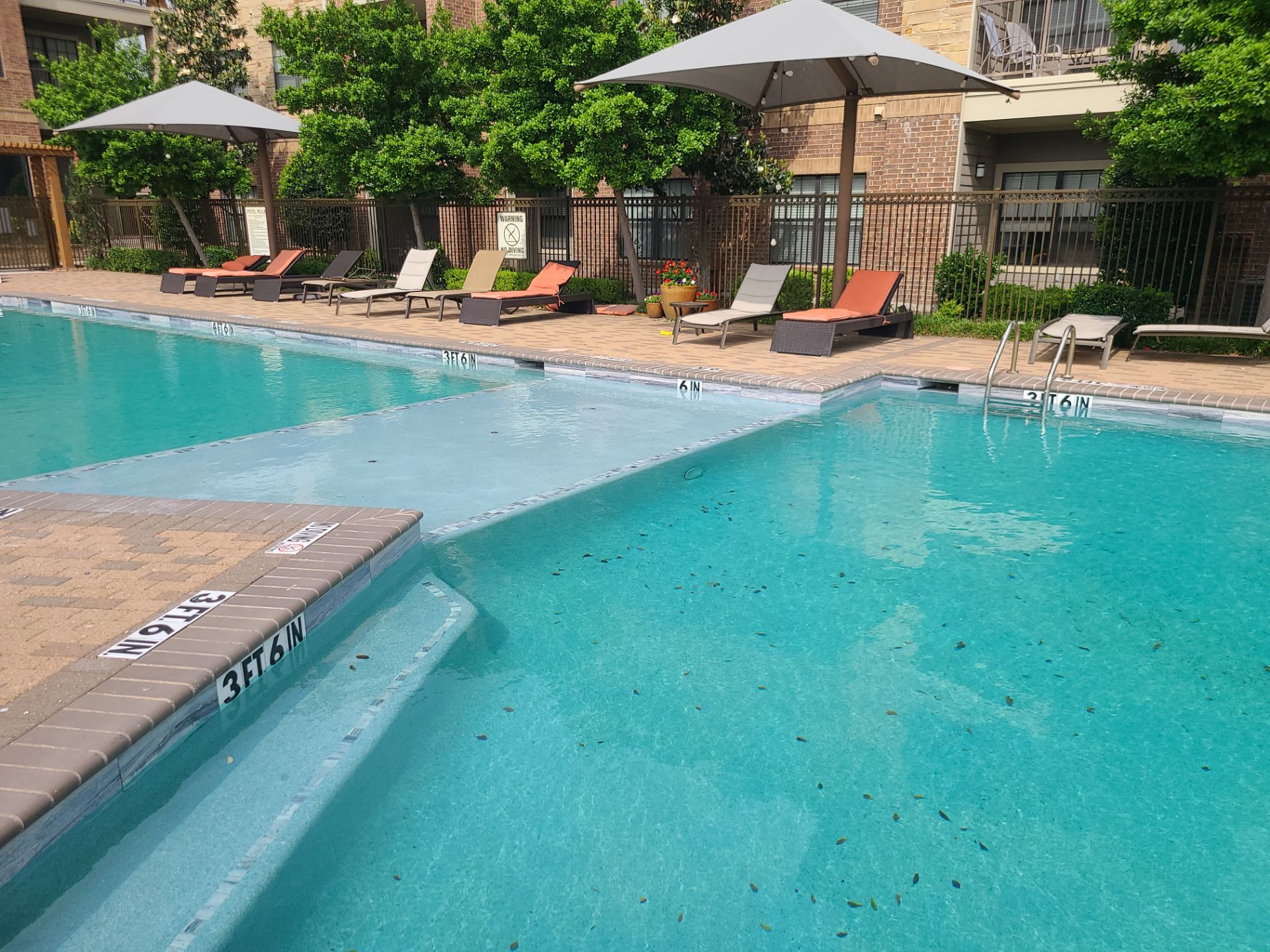 Sorrel Fairview by Sink or Swim Pools