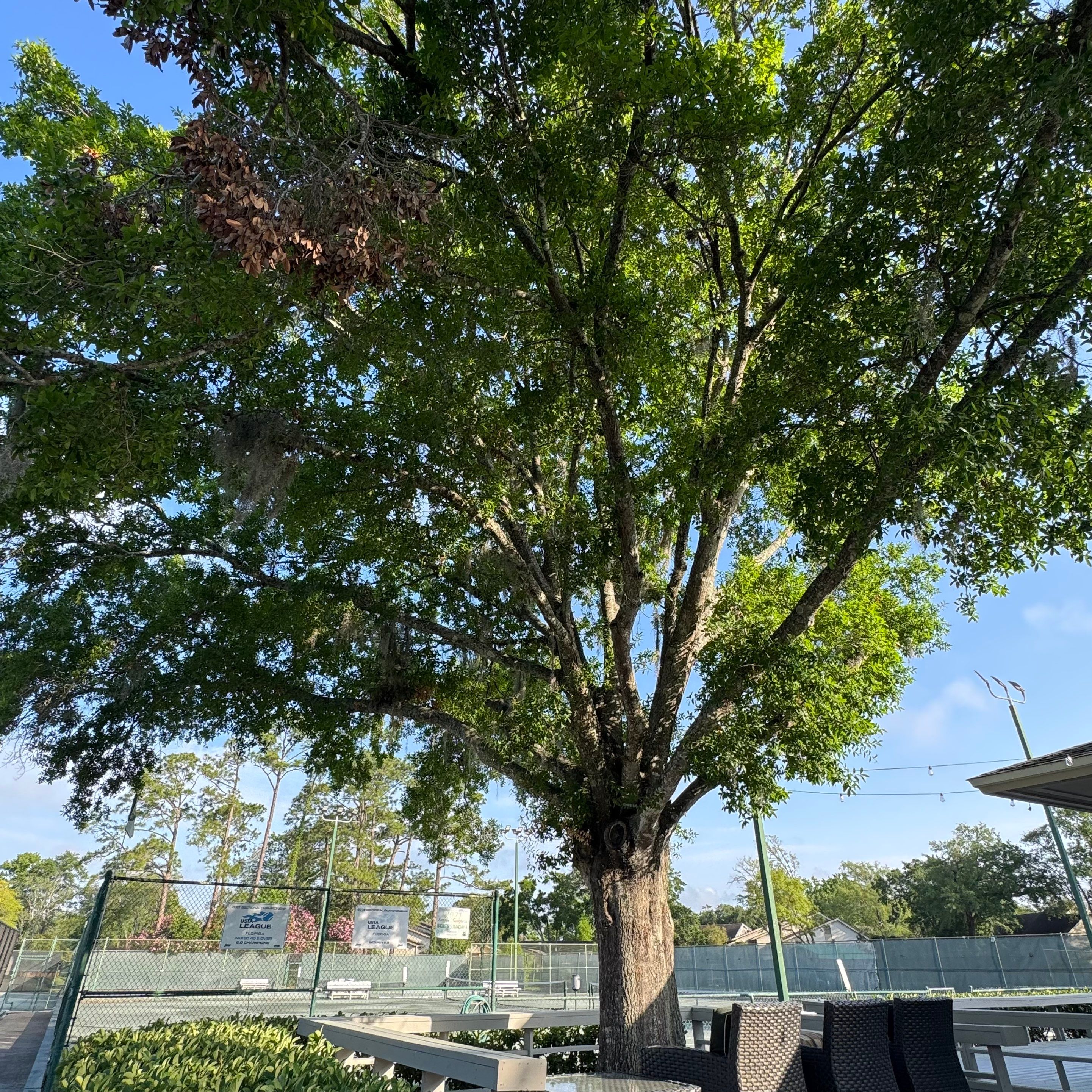Tennis Complex | Deerwood Community by ProGreen Services