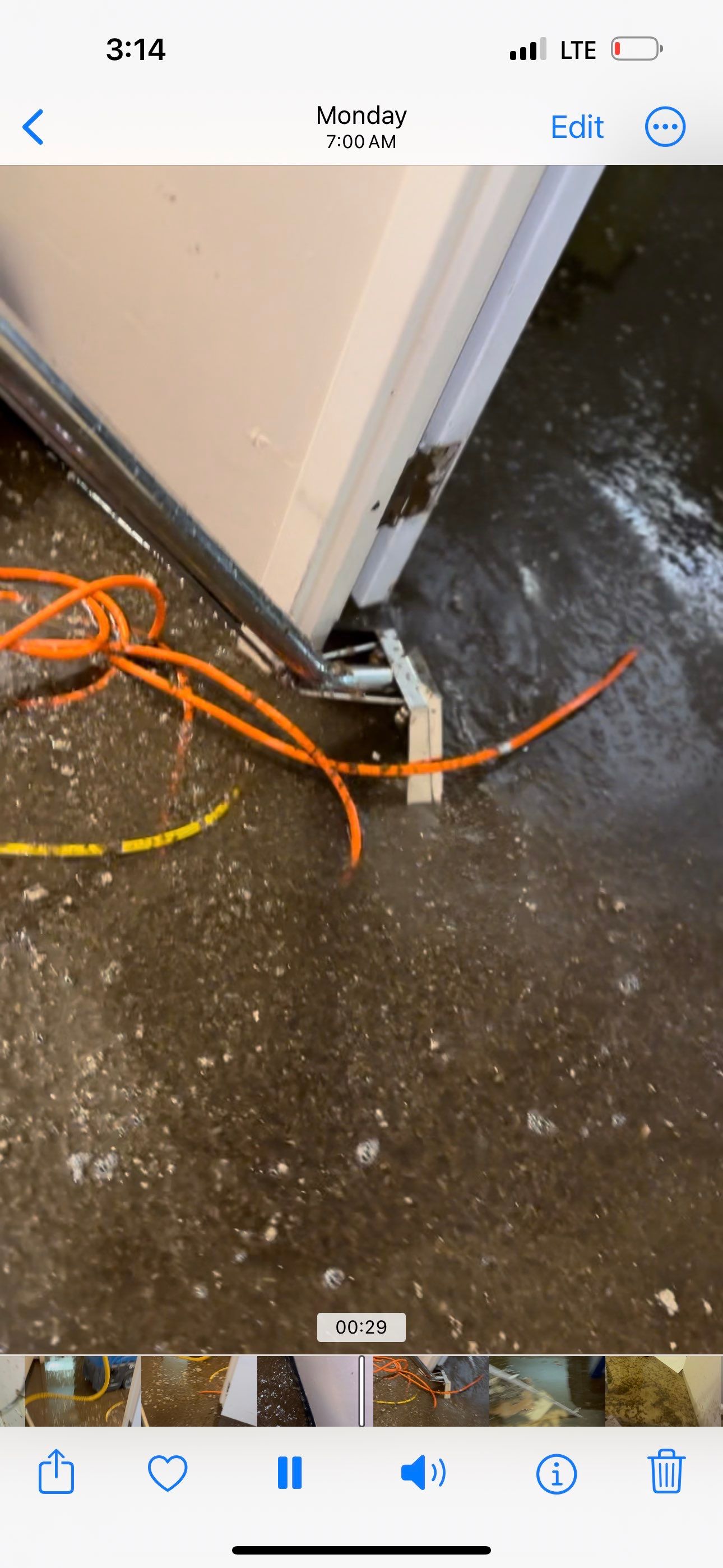 LCCR by BlueRed Restoration