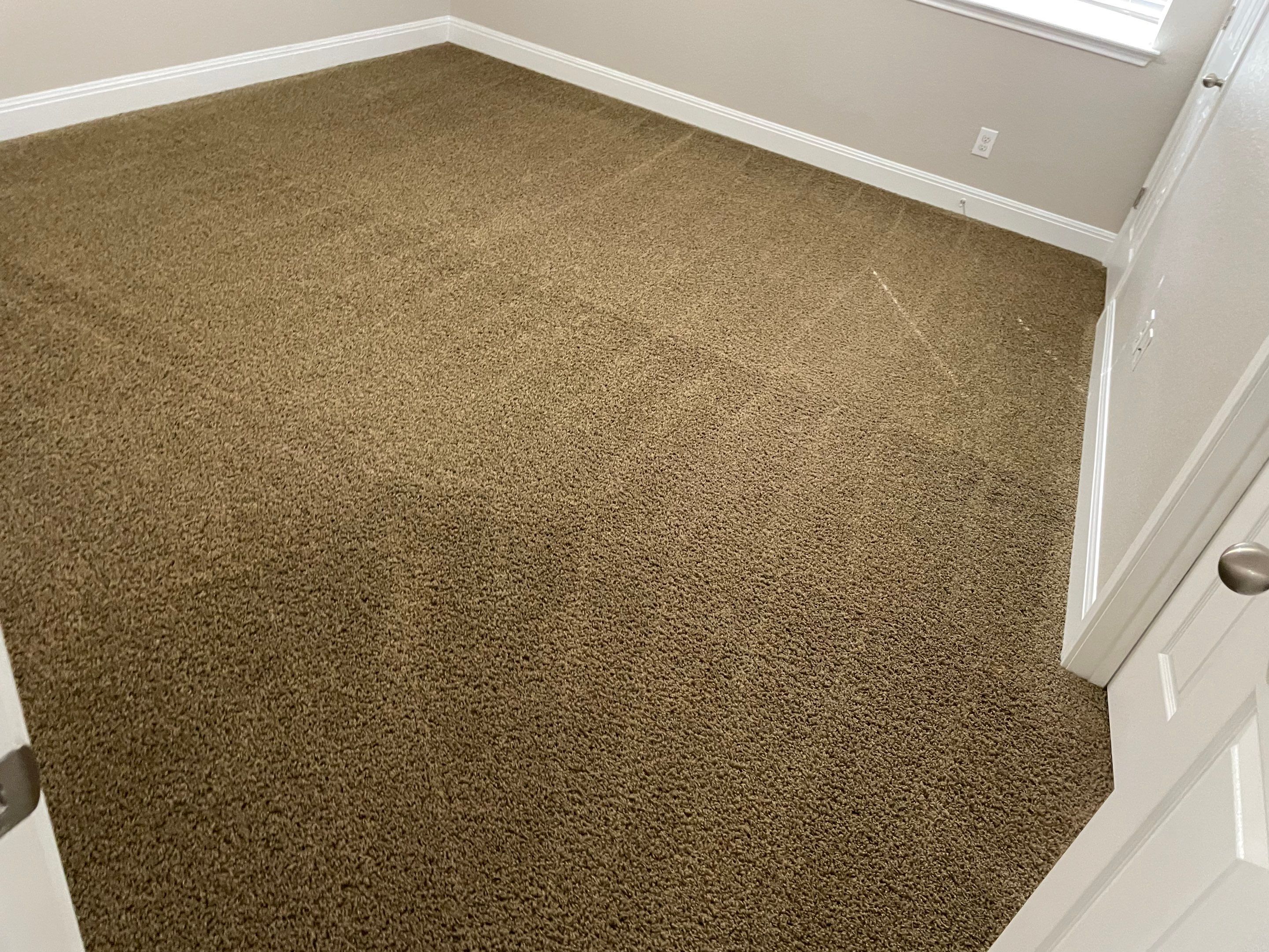 cleaning company performs professional carpet cleaning in a residential room showing vacuumed patterns and clean carpet fibers