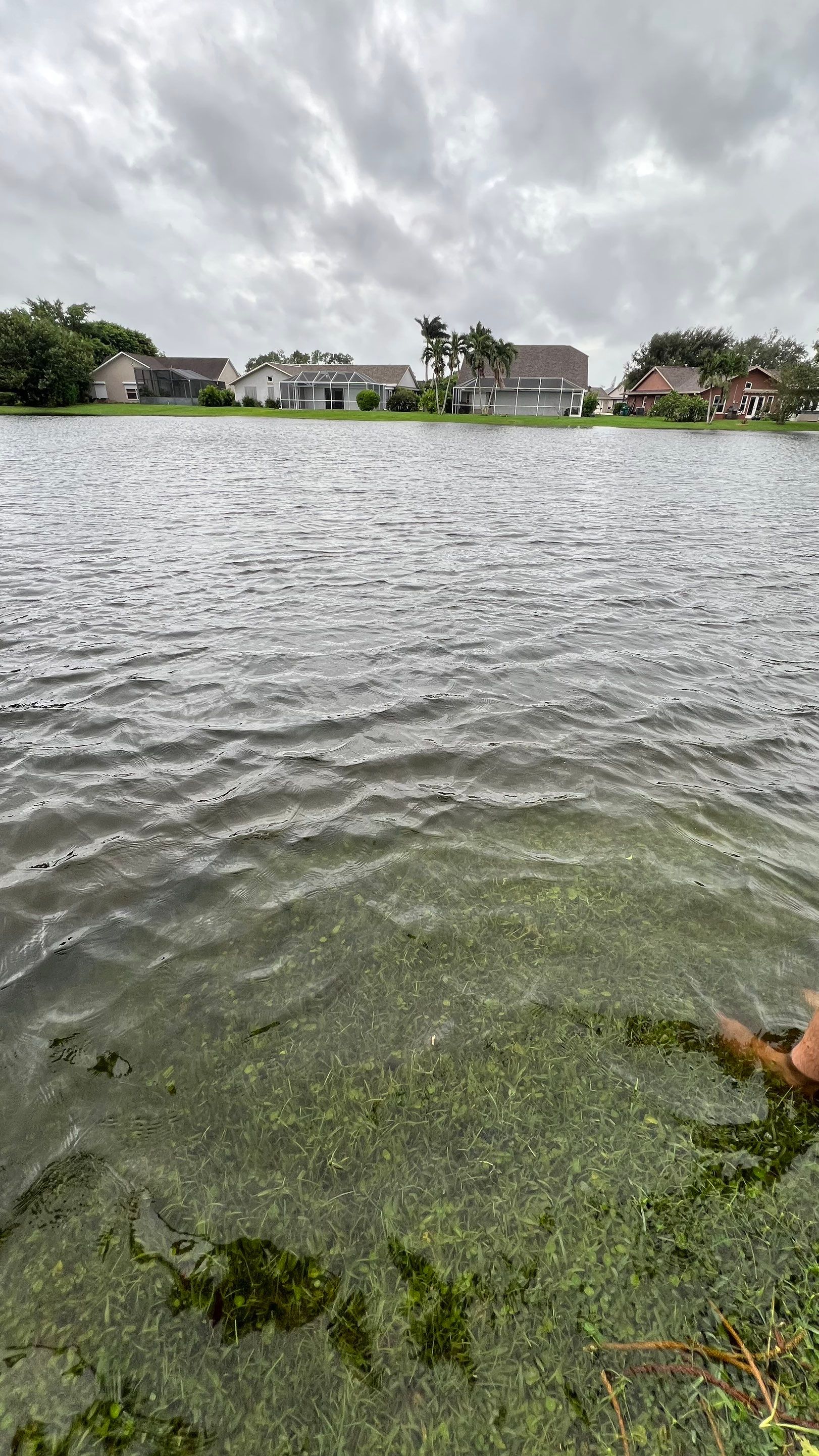 Naples Community Stormwater Blockage by APS Power & Water