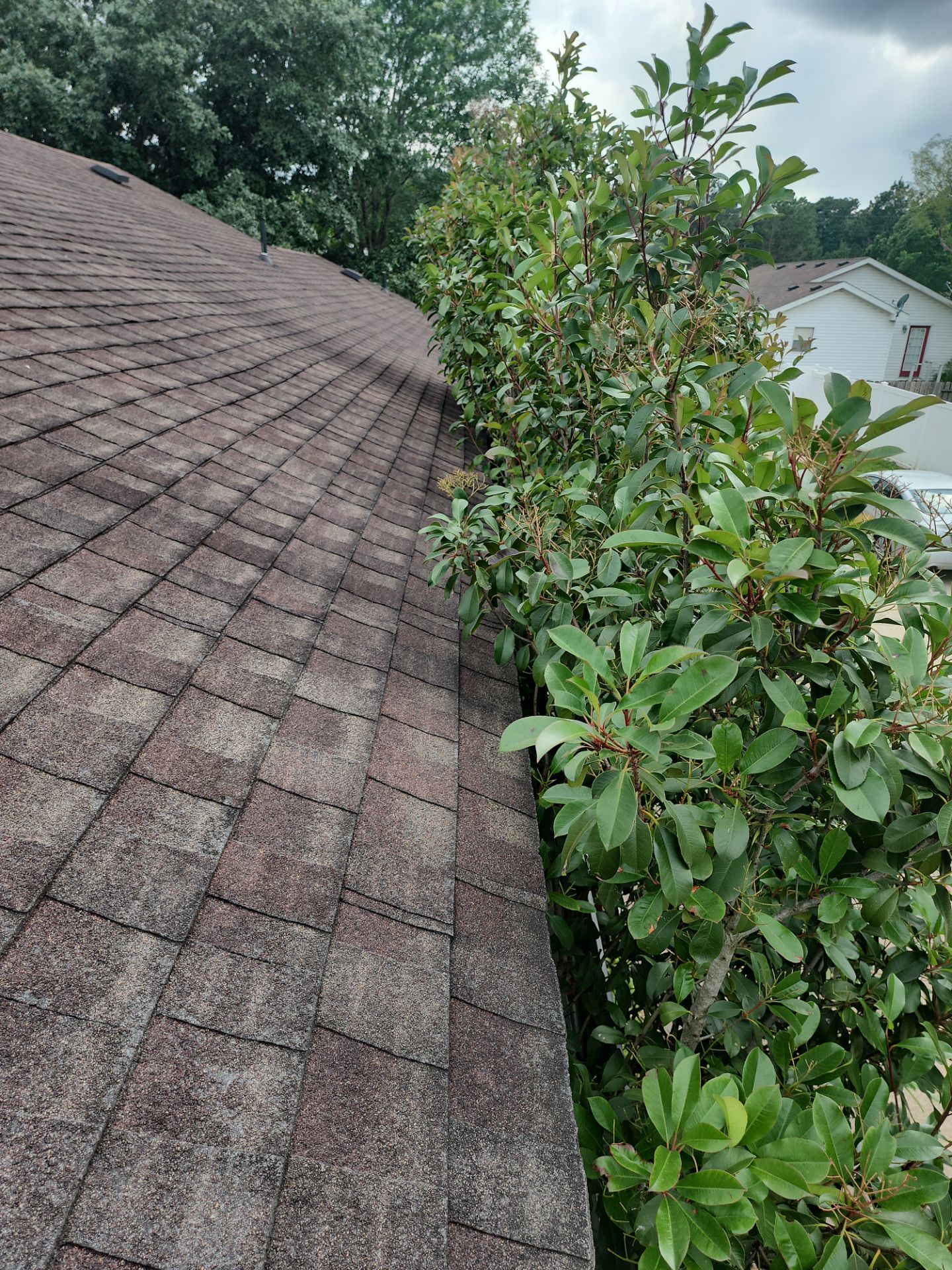 Residential Roofing Installation using Owen's Corning Duration (Lifetime) Shingles by Roof Repair Company