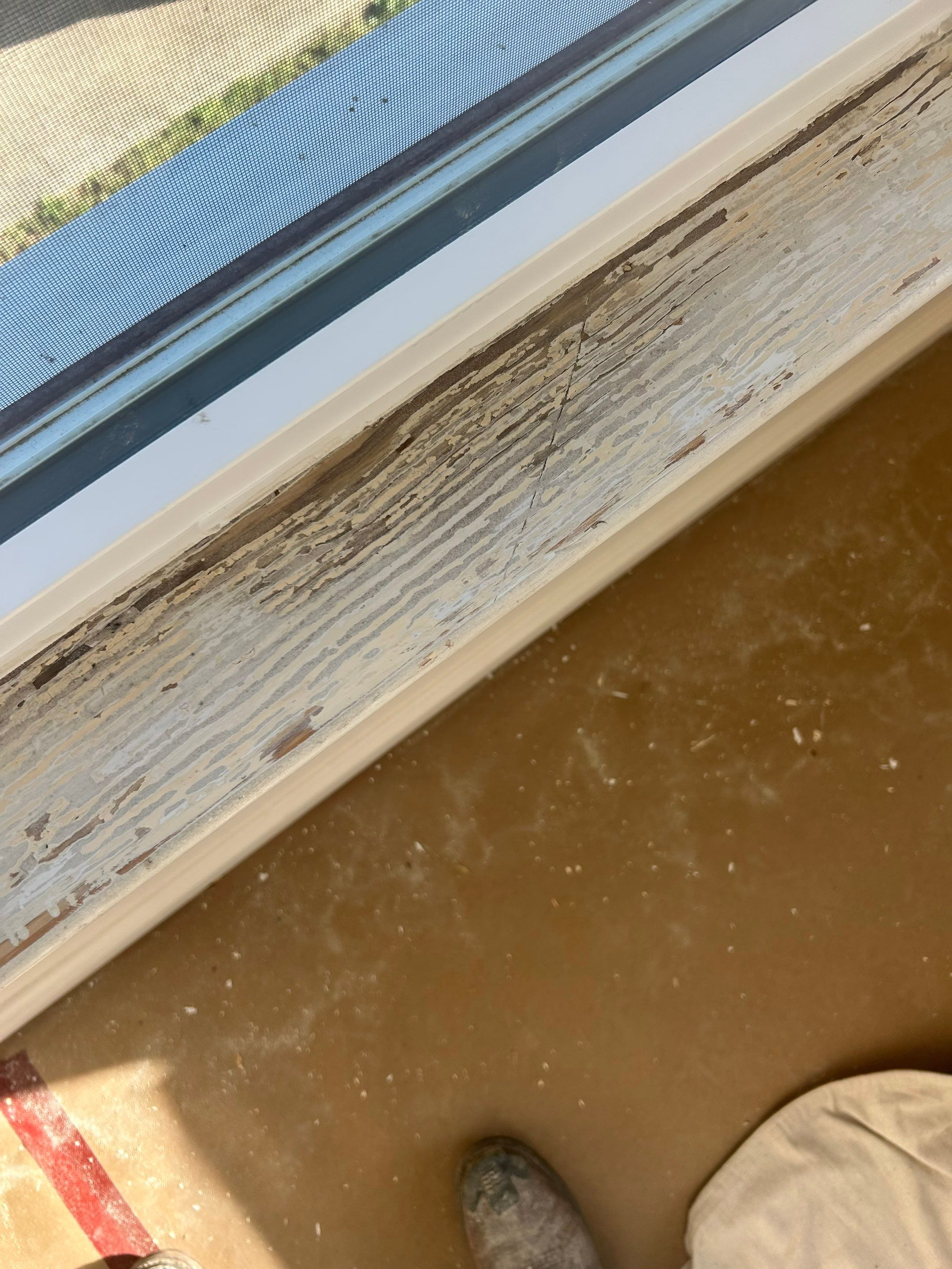 Project in Cape Girardeau by Duncan Painting And Wallcovering